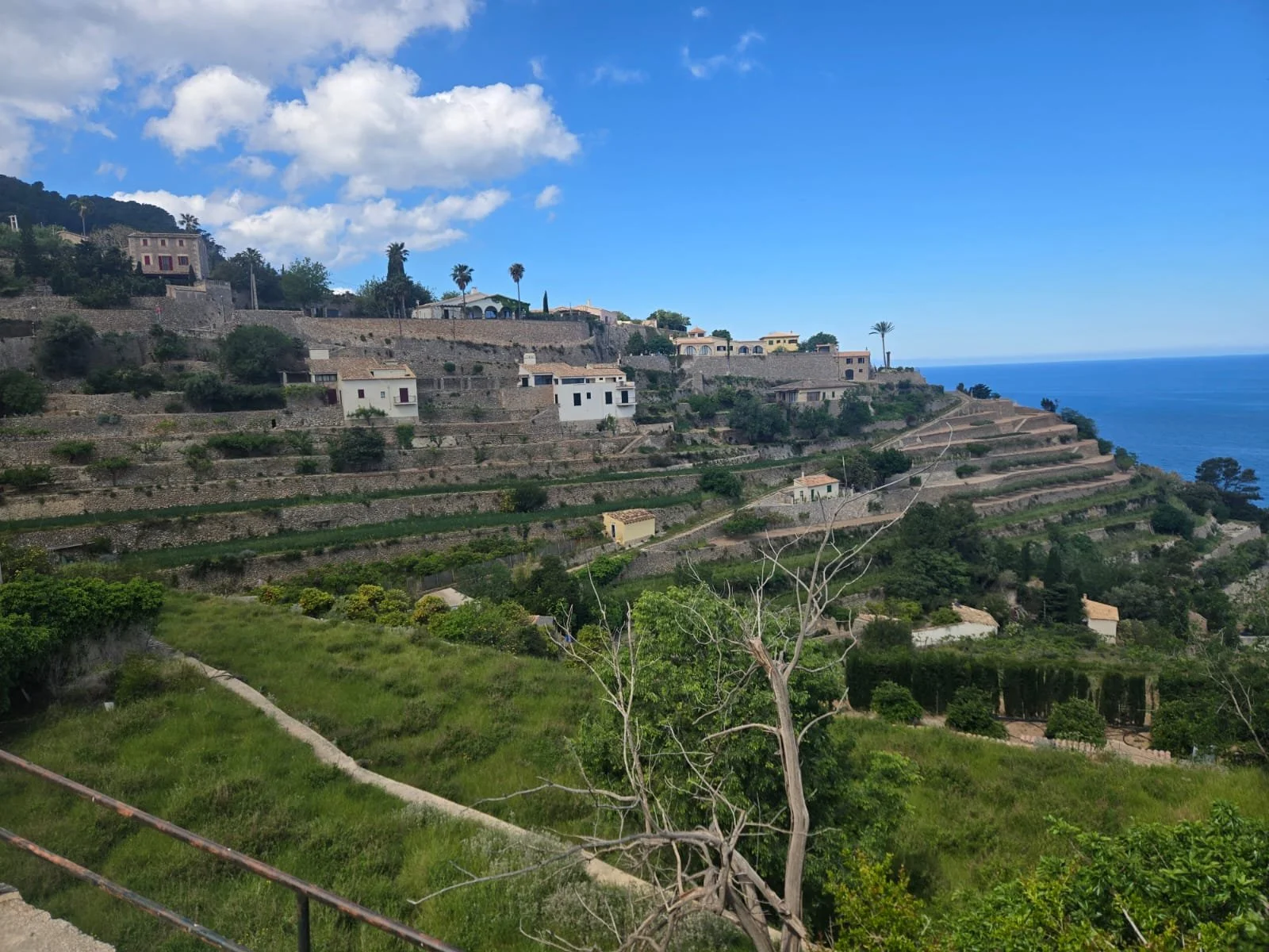 WhatsApp Image 2025-05-01 at 05.48.05_8bfa6b22.jpg