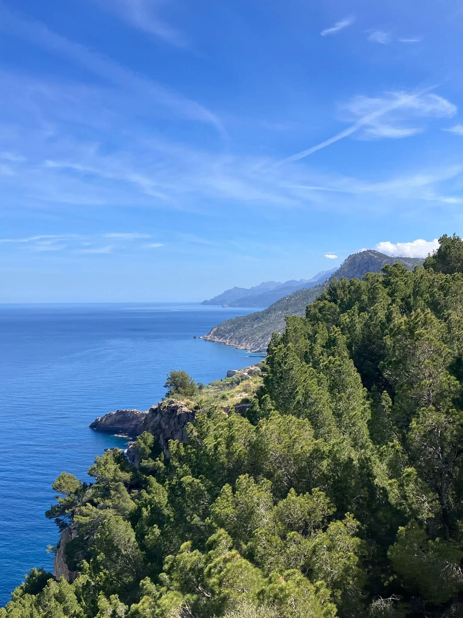 WhatsApp Image 2025-04-18 at 11.03.07_f475ba0f.jpg