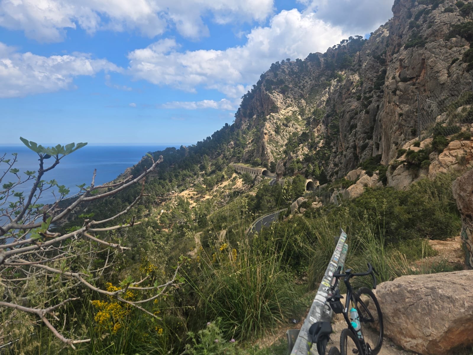 WhatsApp Image 2025-05-01 at 05.48.06_20ee15a7.jpg