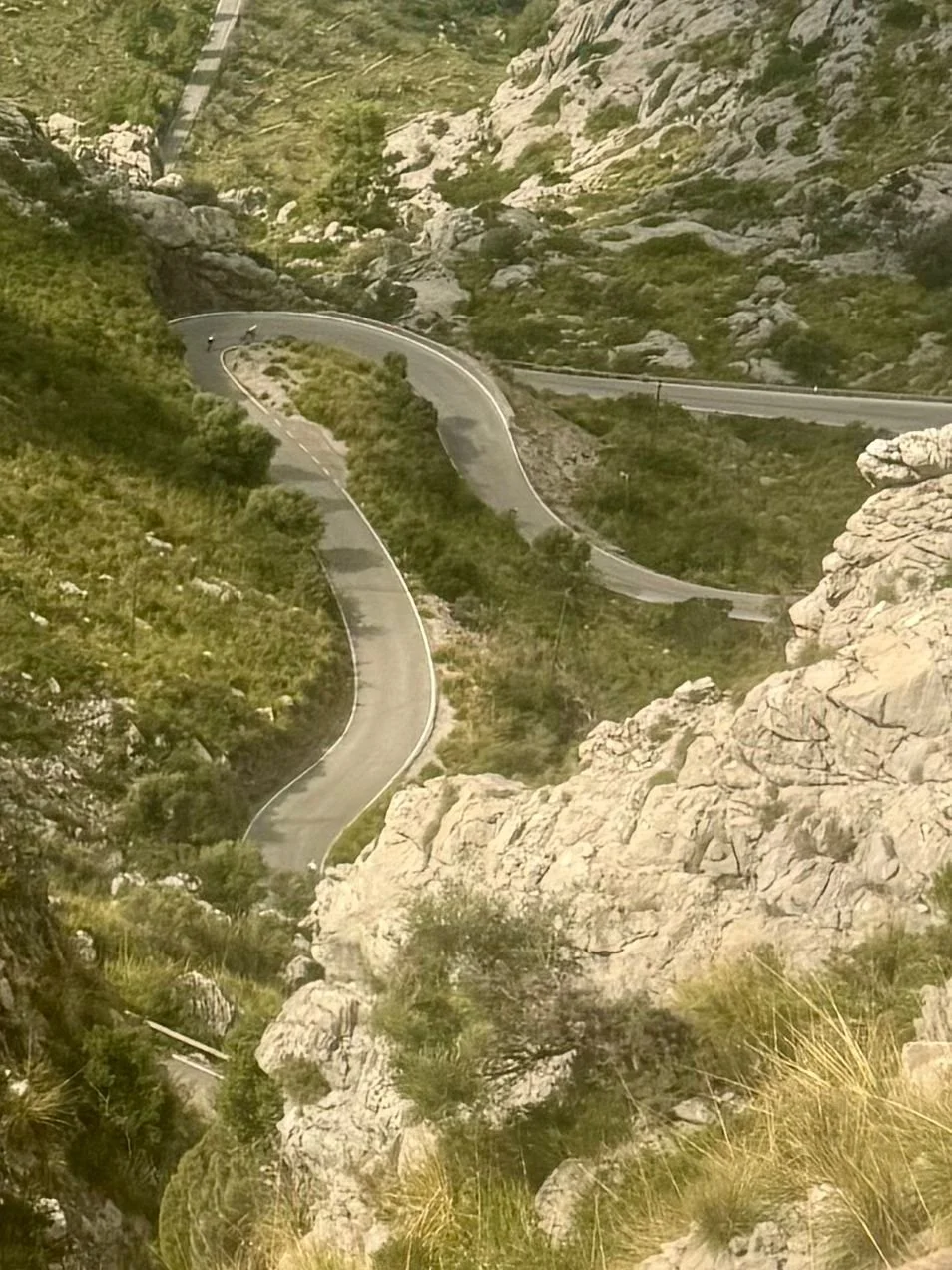 WhatsApp Image 2025-10-09 at 11.00.42_7ecab4ae.jpg