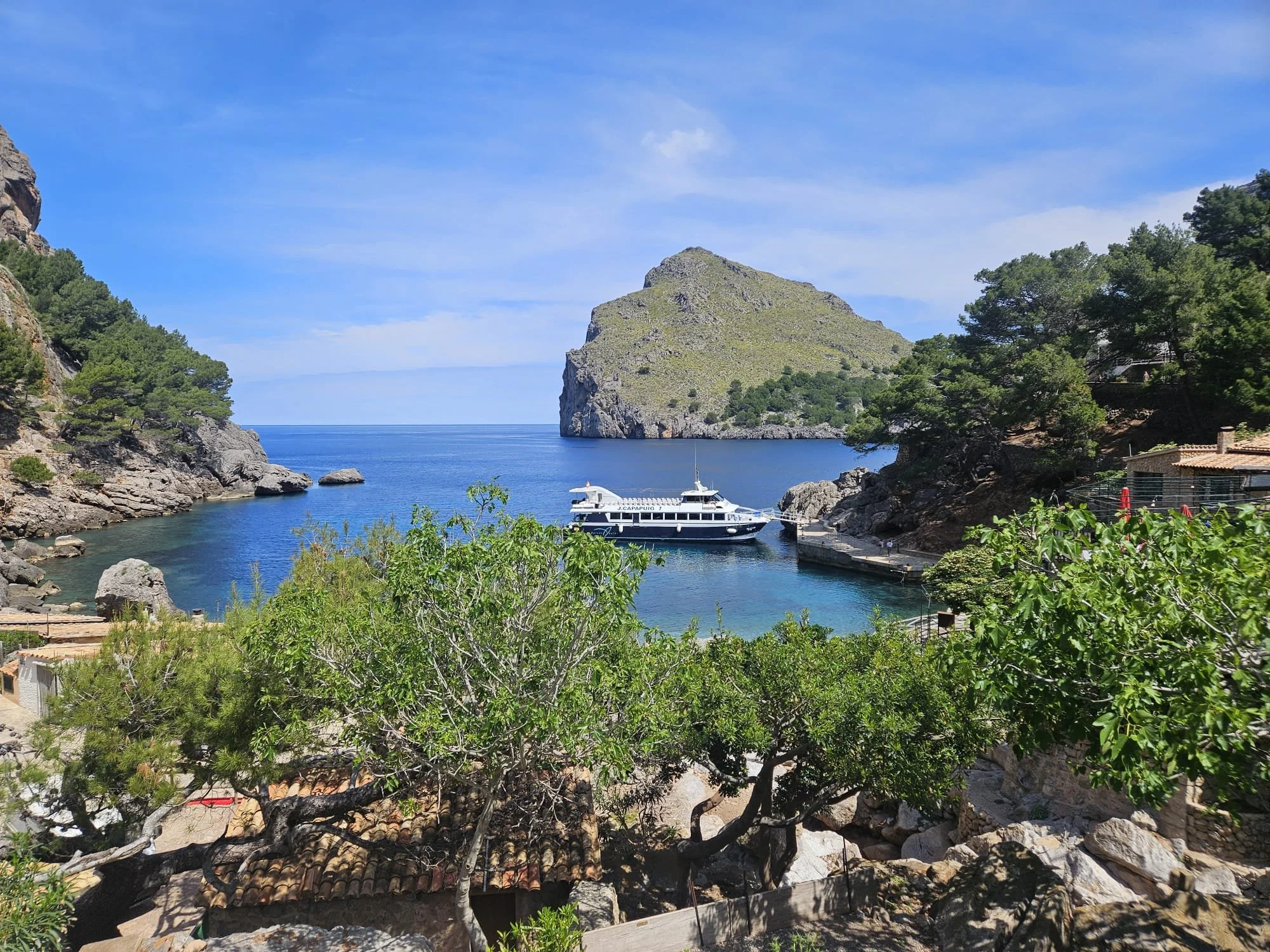 WhatsApp Image 2025-04-22 at 10.06.19_b0d0bdd3.jpg