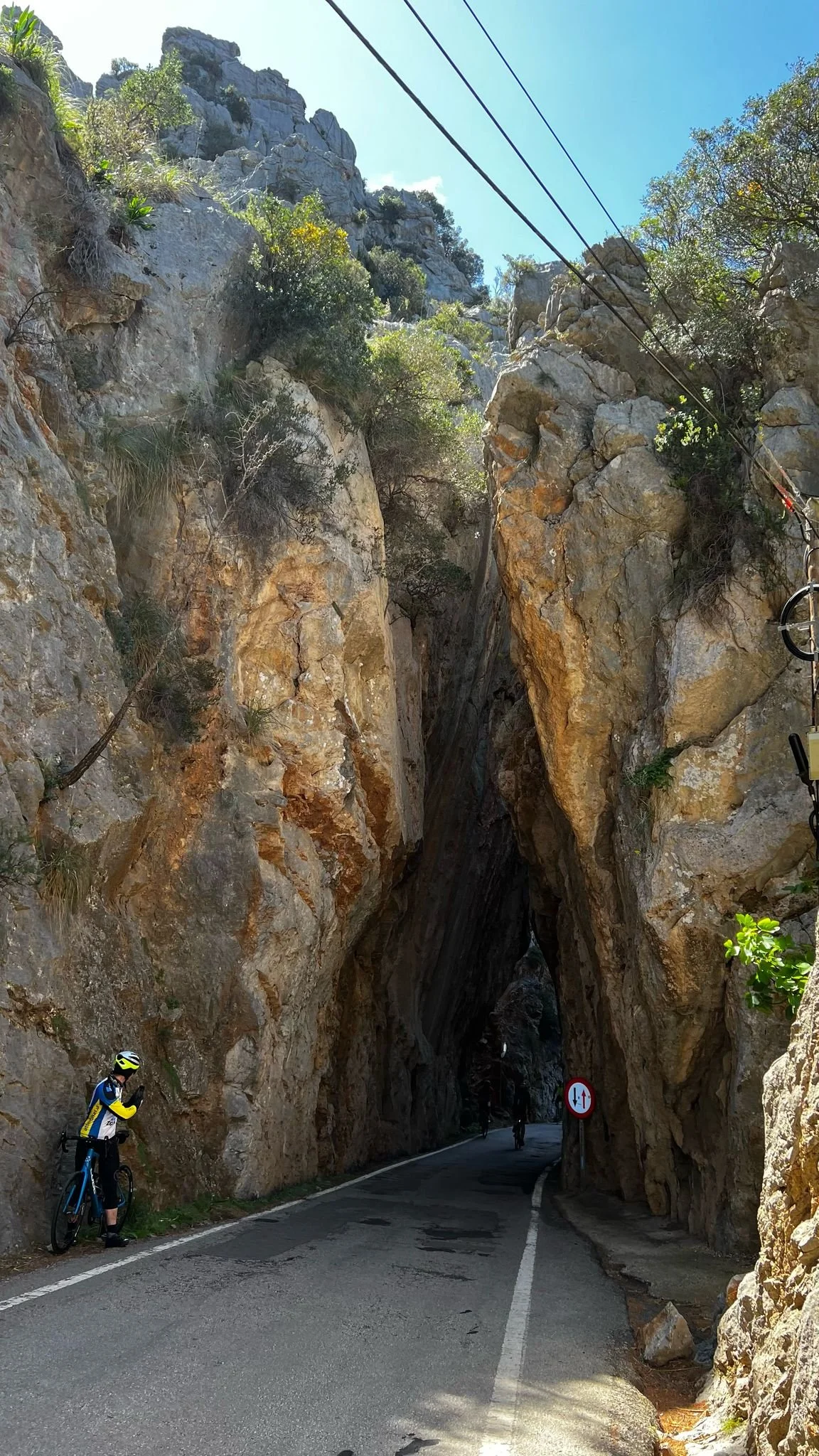 WhatsApp Image 2025-04-17 at 10.43.54_c1de6251.jpg