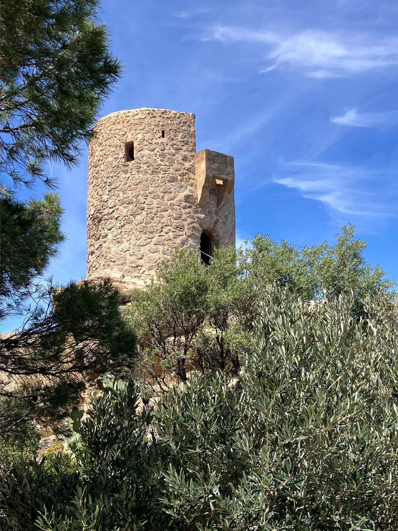 WhatsApp Image 2025-04-18 at 11.03.17_e82a5f92.jpg