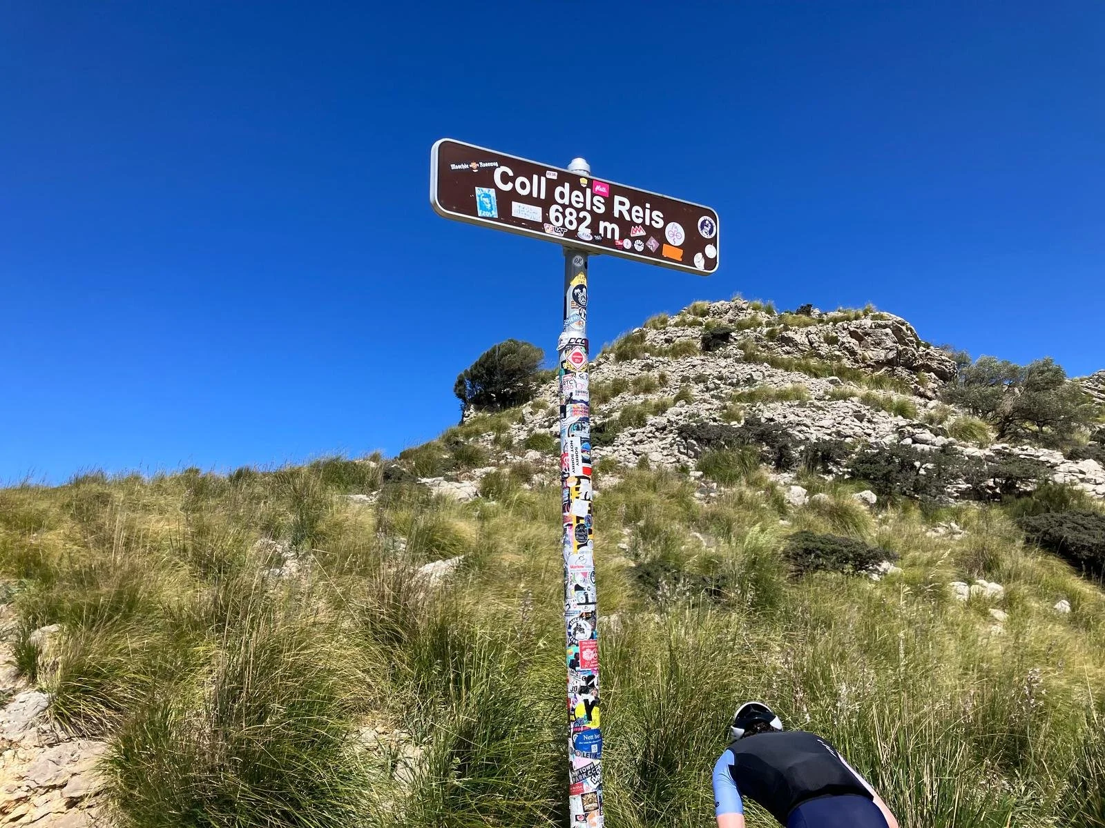 WhatsApp Image 2025-04-17 at 16.06.34_2292c511.jpg