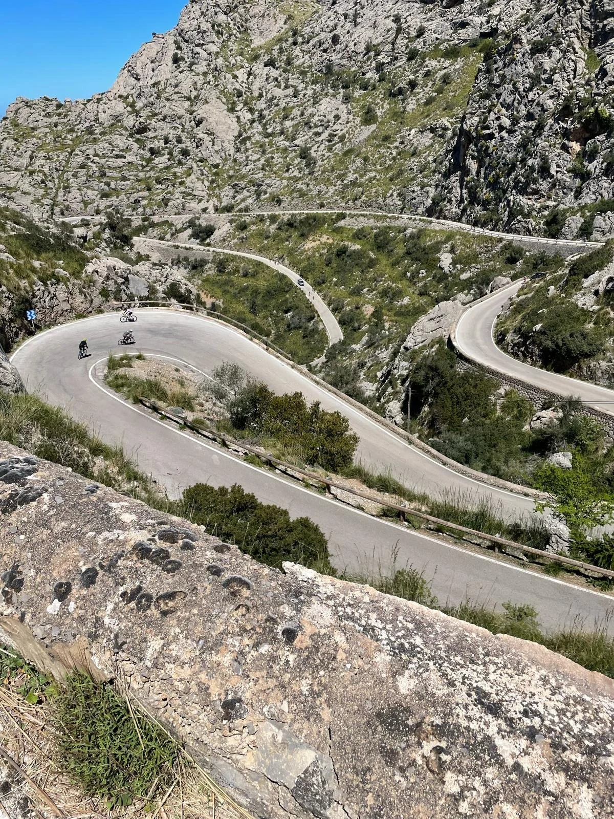 WhatsApp Image 2025-04-17 at 11.26.37_e9a155ea.jpg