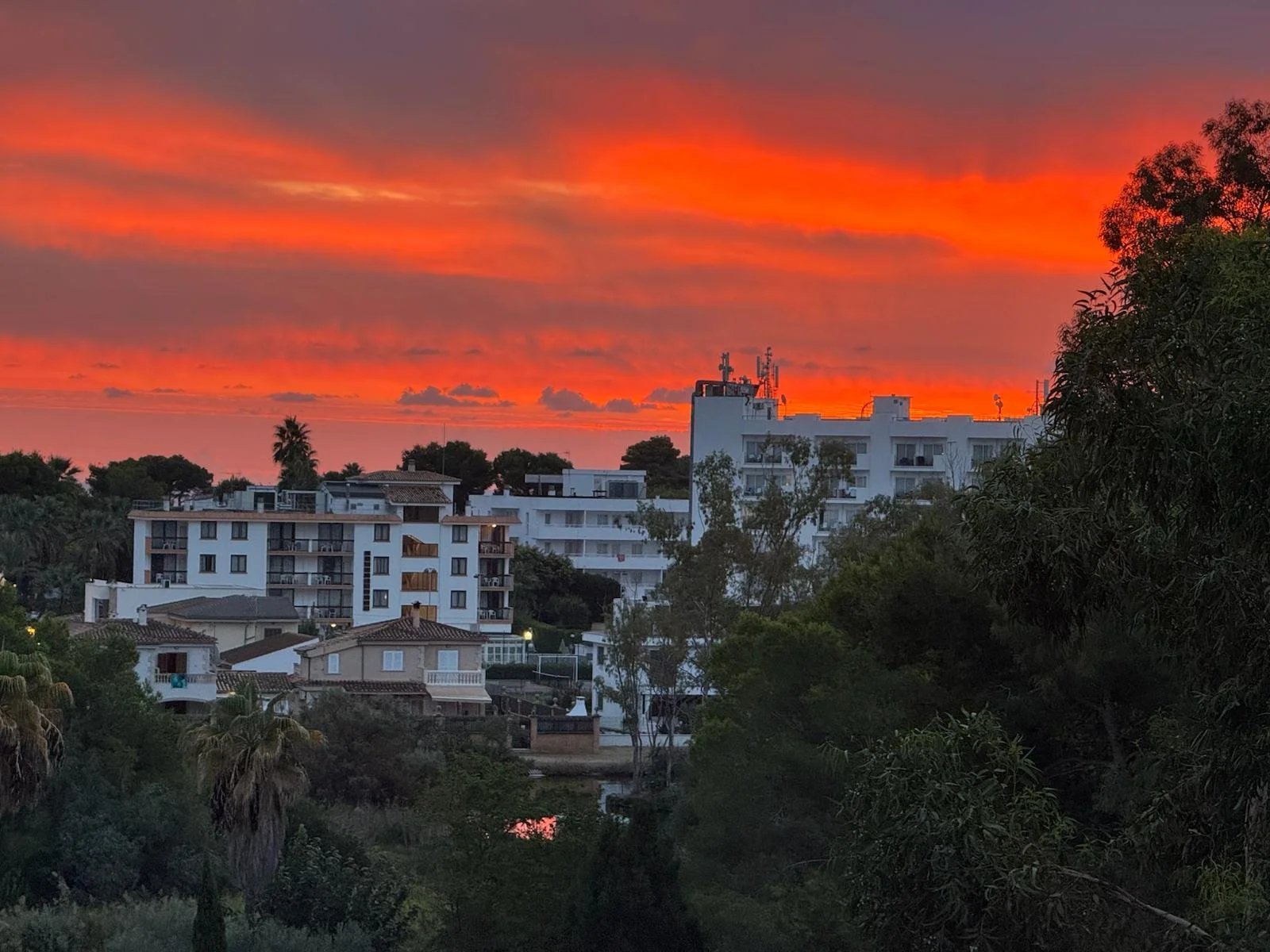 WhatsApp Image 2025-10-09 at 01.43.33_14898702.jpg