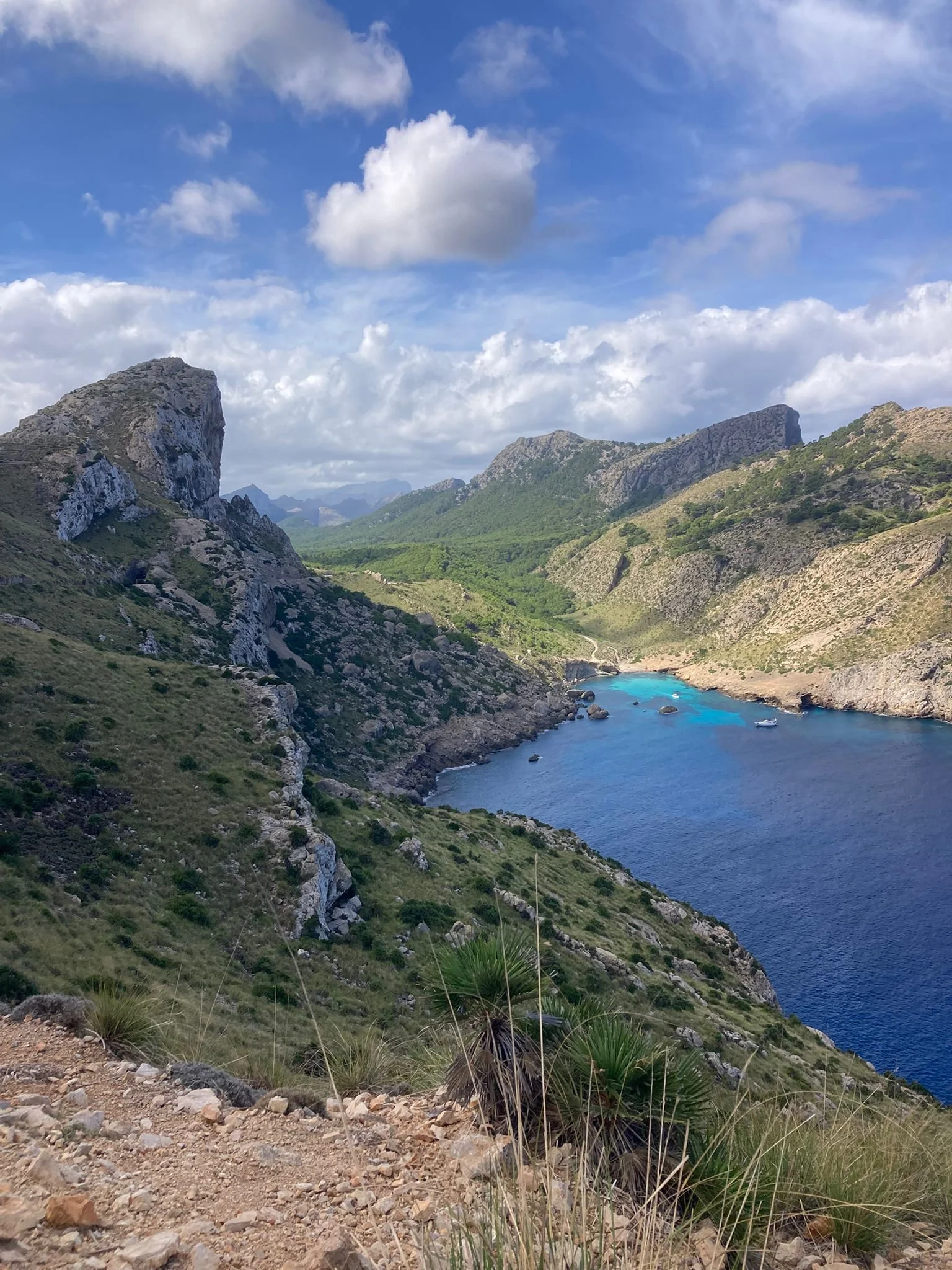 WhatsApp Image 2025-10-07 at 10.17.33_9d091e56.jpg