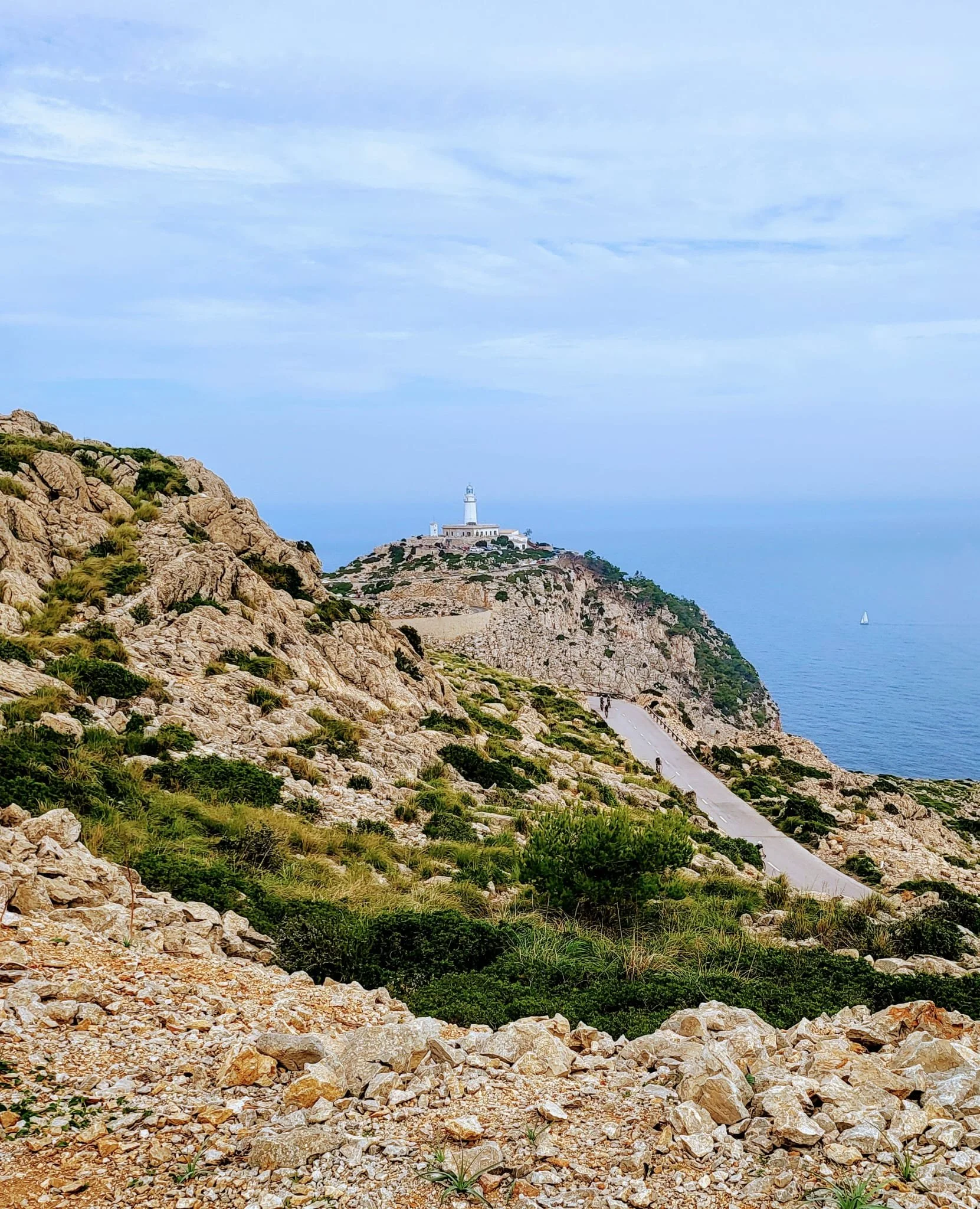 WhatsApp Image 2024-10-15 at 10.25.17_01bd7cb2.jpg