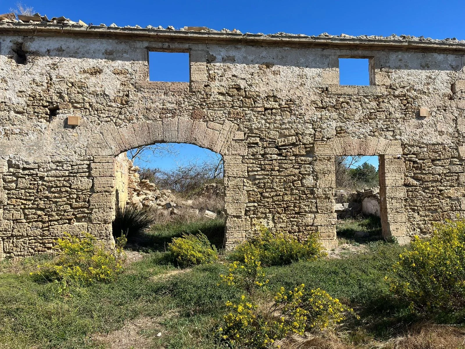 WhatsApp Image 2024-10-28 at 14.54.05_2e43a8d2.jpg