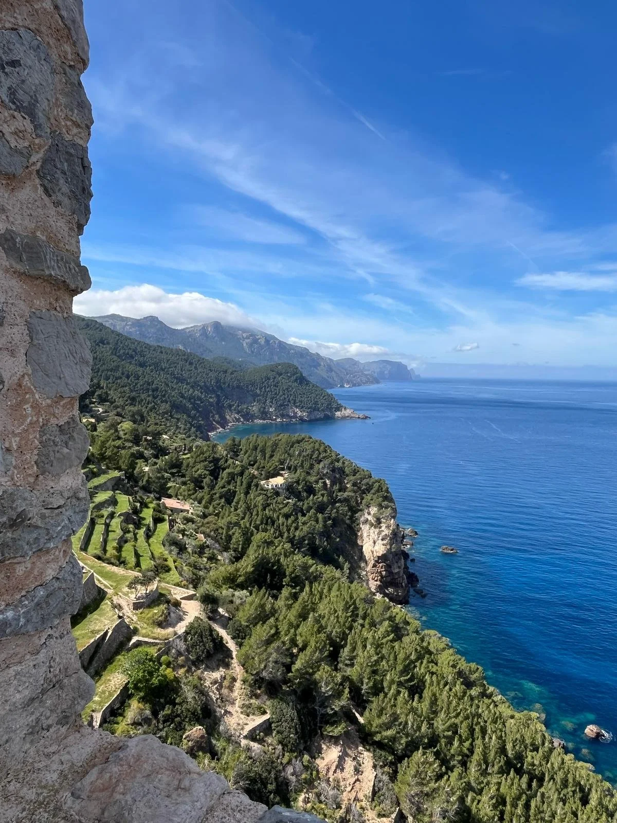 WhatsApp Image 2025-04-19 at 01.43.08_34a24424.jpg