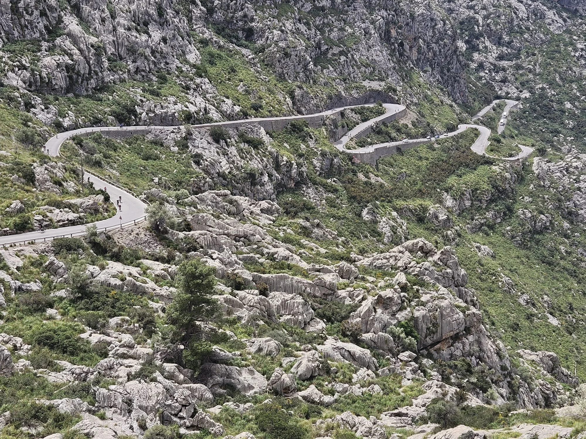 WhatsApp Image 2025-05-01 at 16.04.50_125bf898.jpg