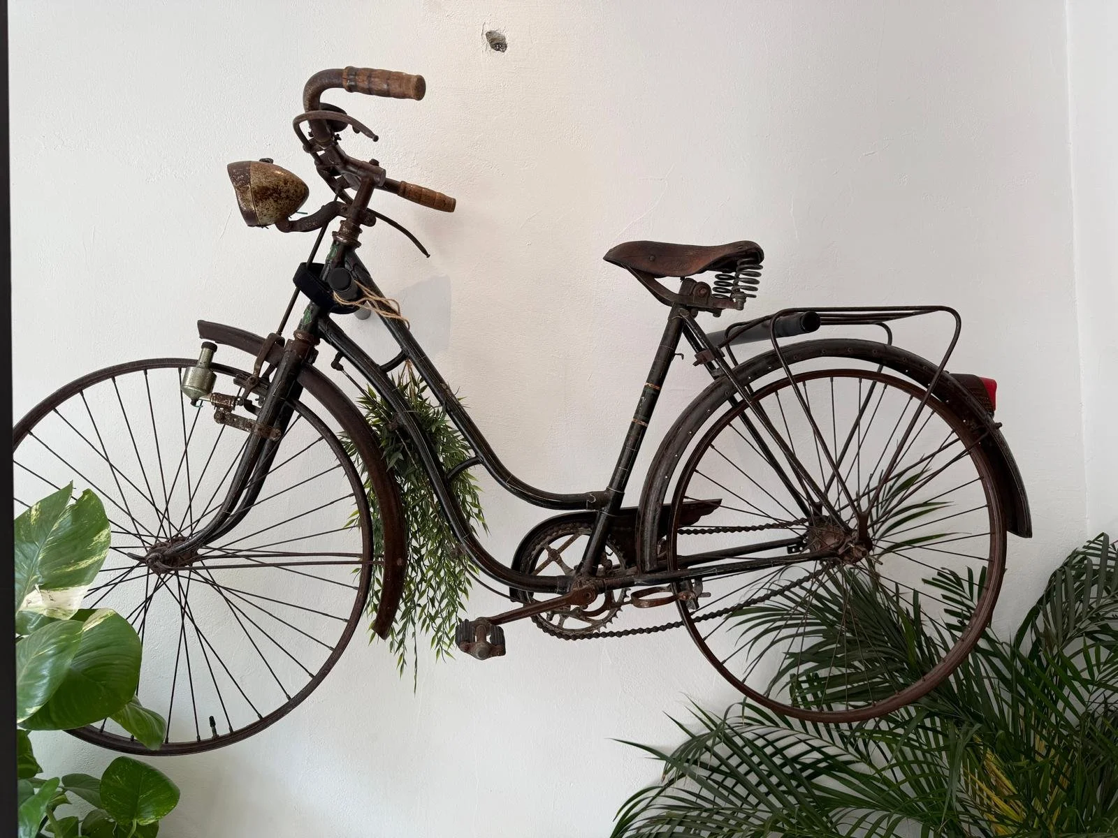 WhatsApp Image 2025-04-12 at 16.43.30_68324191.jpg