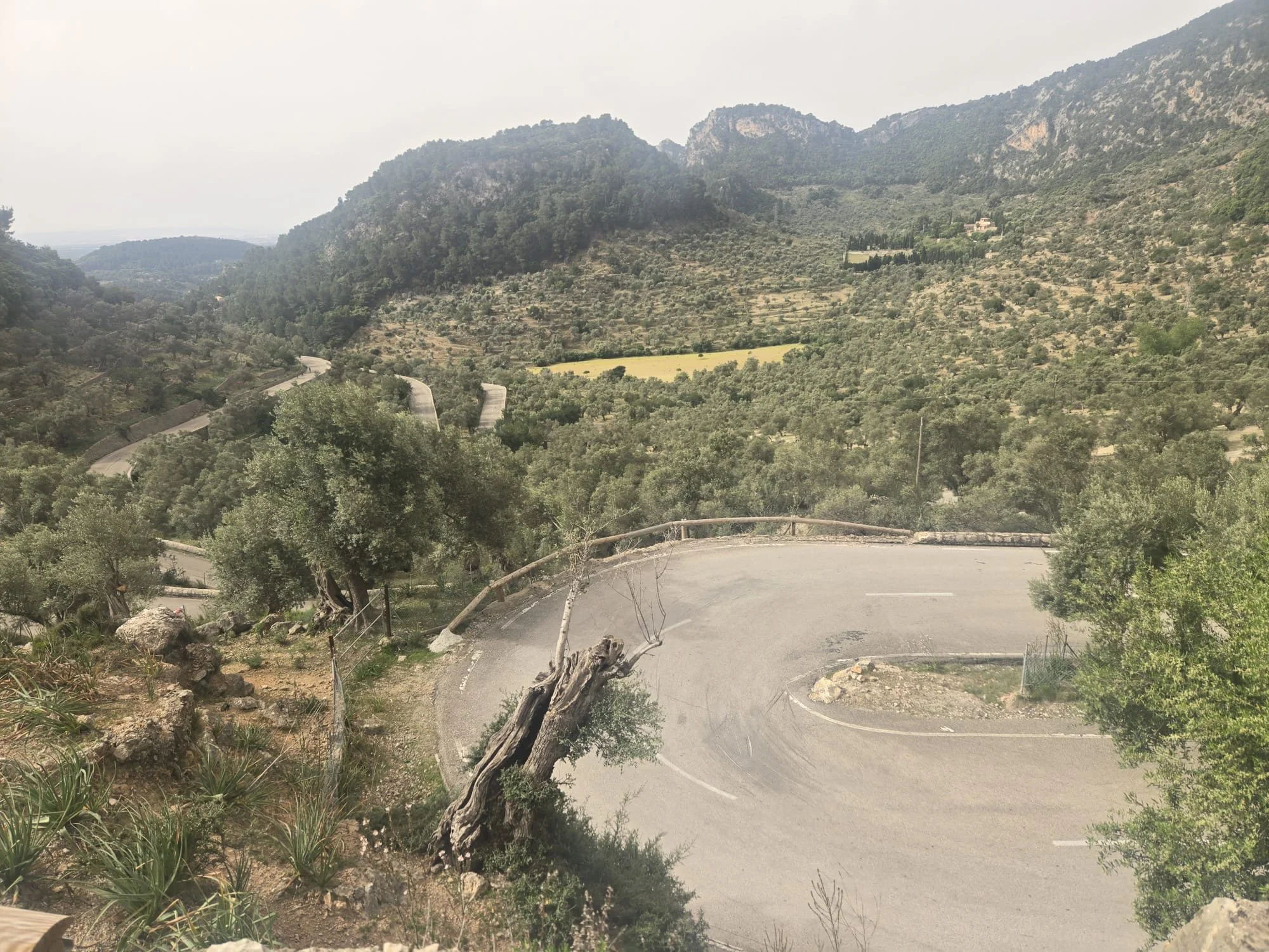 WhatsApp Image 2025-05-01 at 06.22.34_c5d736e5.jpg