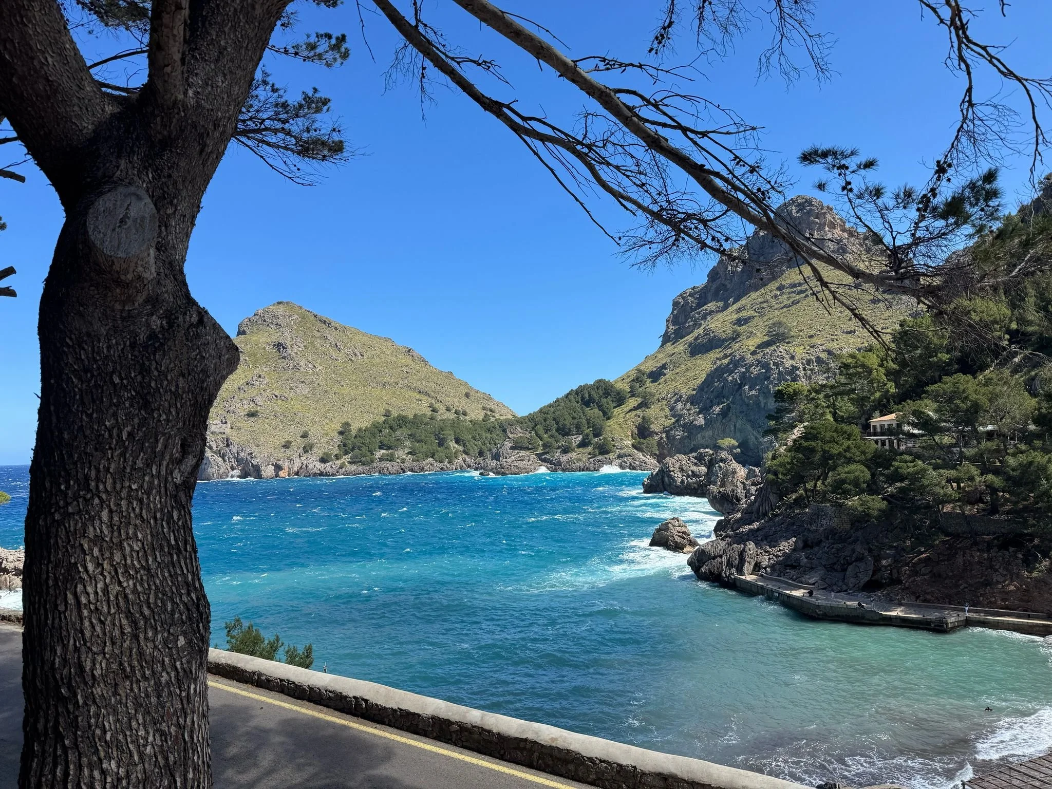 WhatsApp Image 2025-04-17 at 10.42.32_847fe80e.jpg