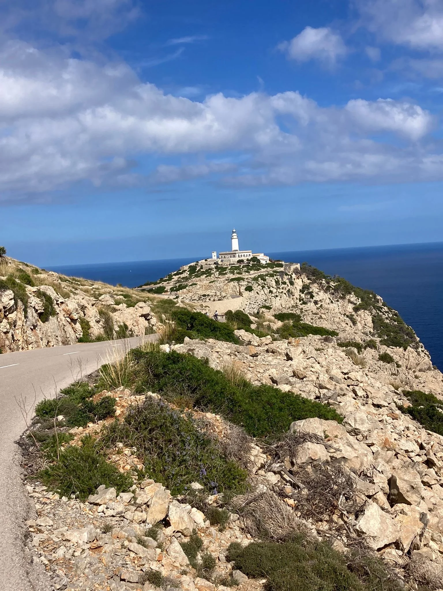 WhatsApp Image 2025-10-07 at 10.17.27_ed416632.jpg