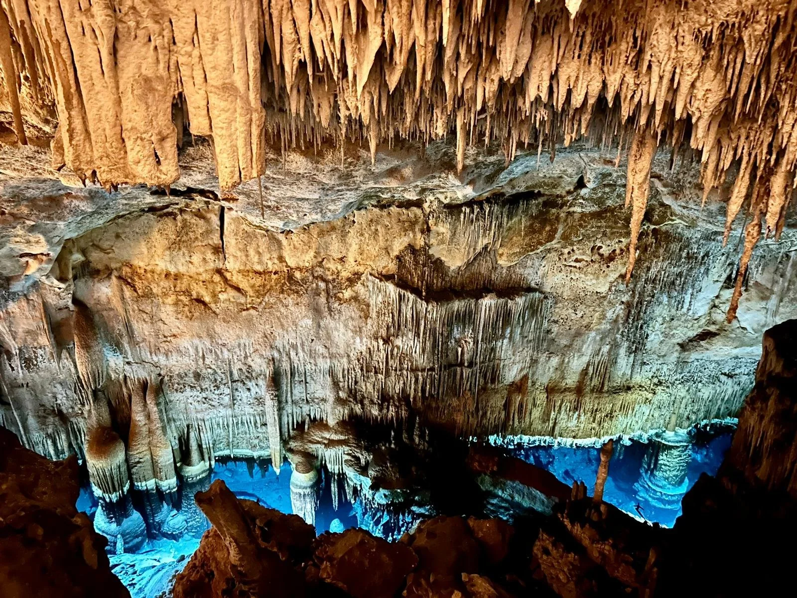 WhatsApp Image 2024-10-16 at 10.57.25_4161c46a.jpg