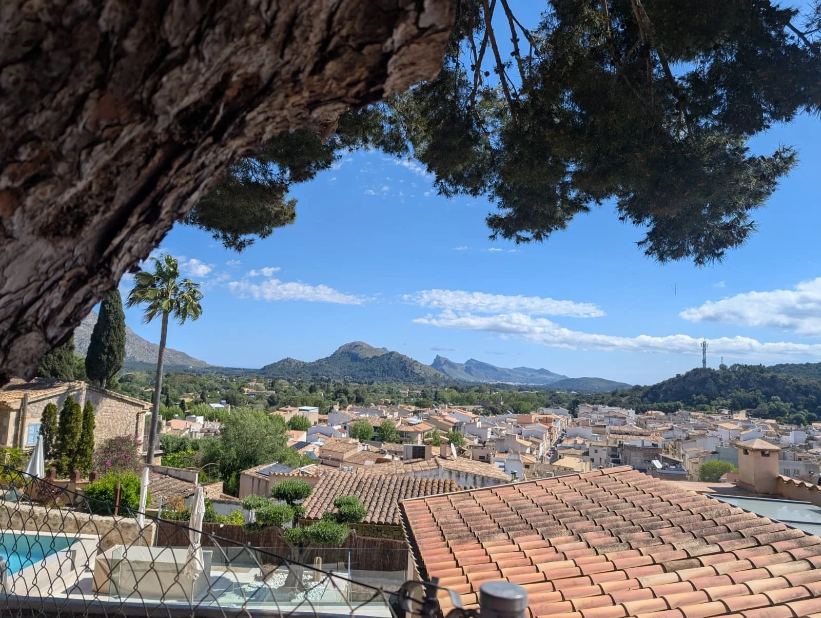 WhatsApp Image 2025-04-19 at 07.57.44_5c31ea29.jpg