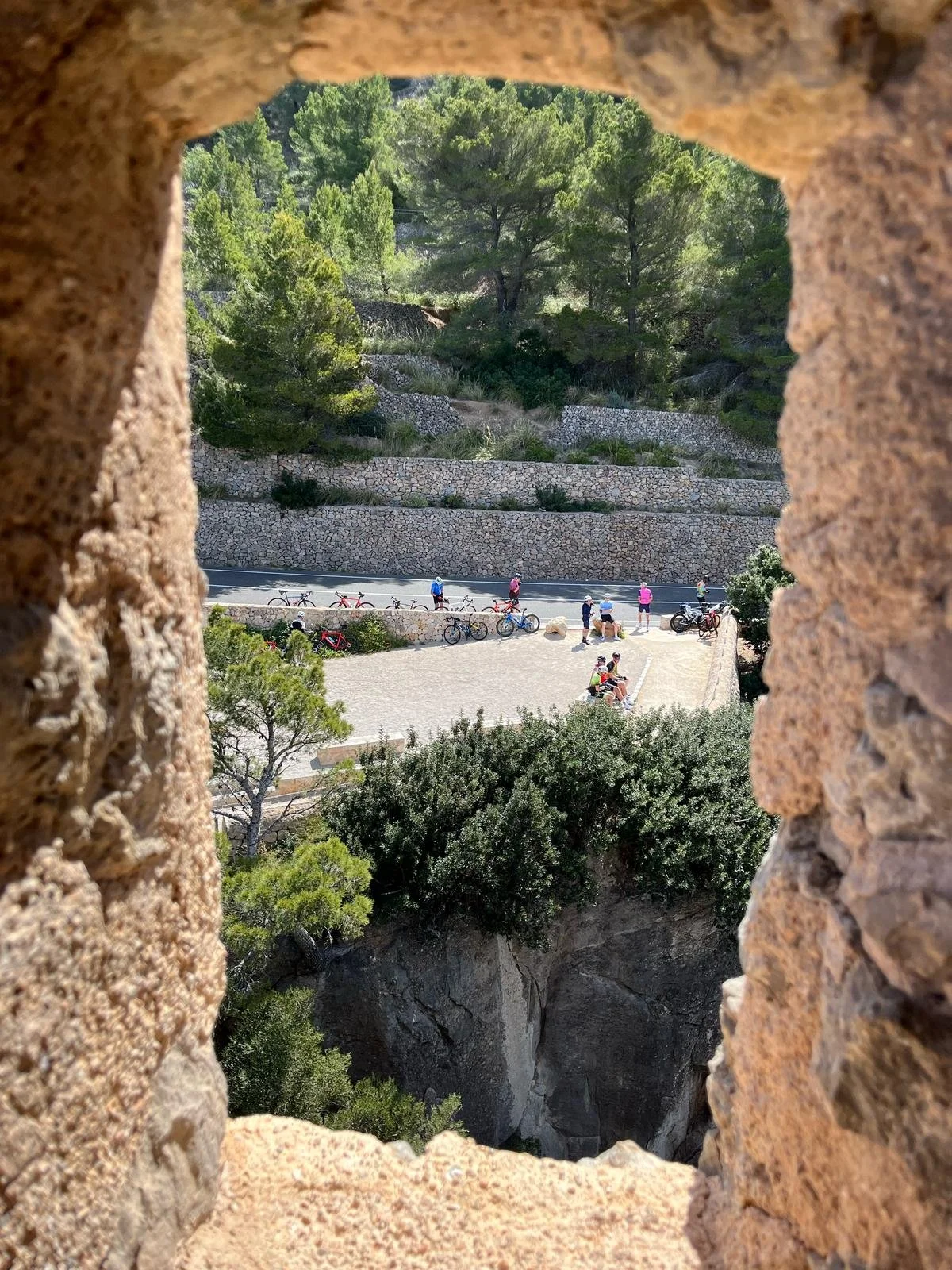 WhatsApp Image 2025-04-19 at 01.43.09_d18a3afa.jpg