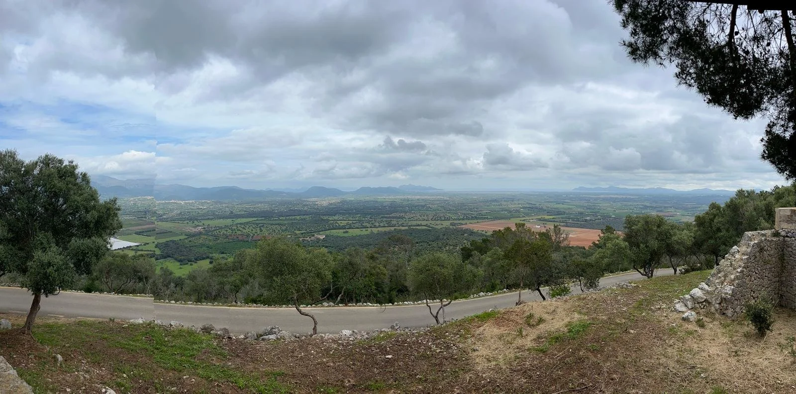 WhatsApp Image 2025-04-13 at 09.49.24_099ce9e7.jpg