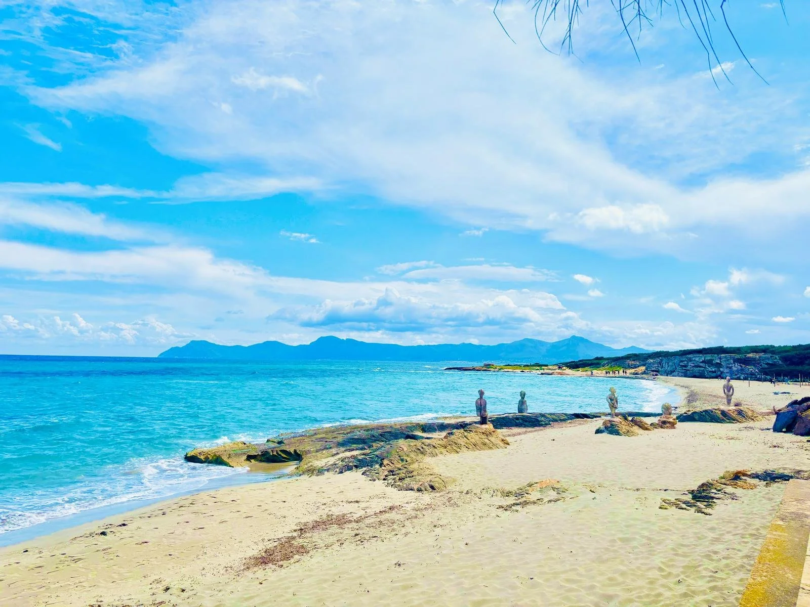 WhatsApp Image 2025-04-16 at 07.20.53_0dbeea57.jpg