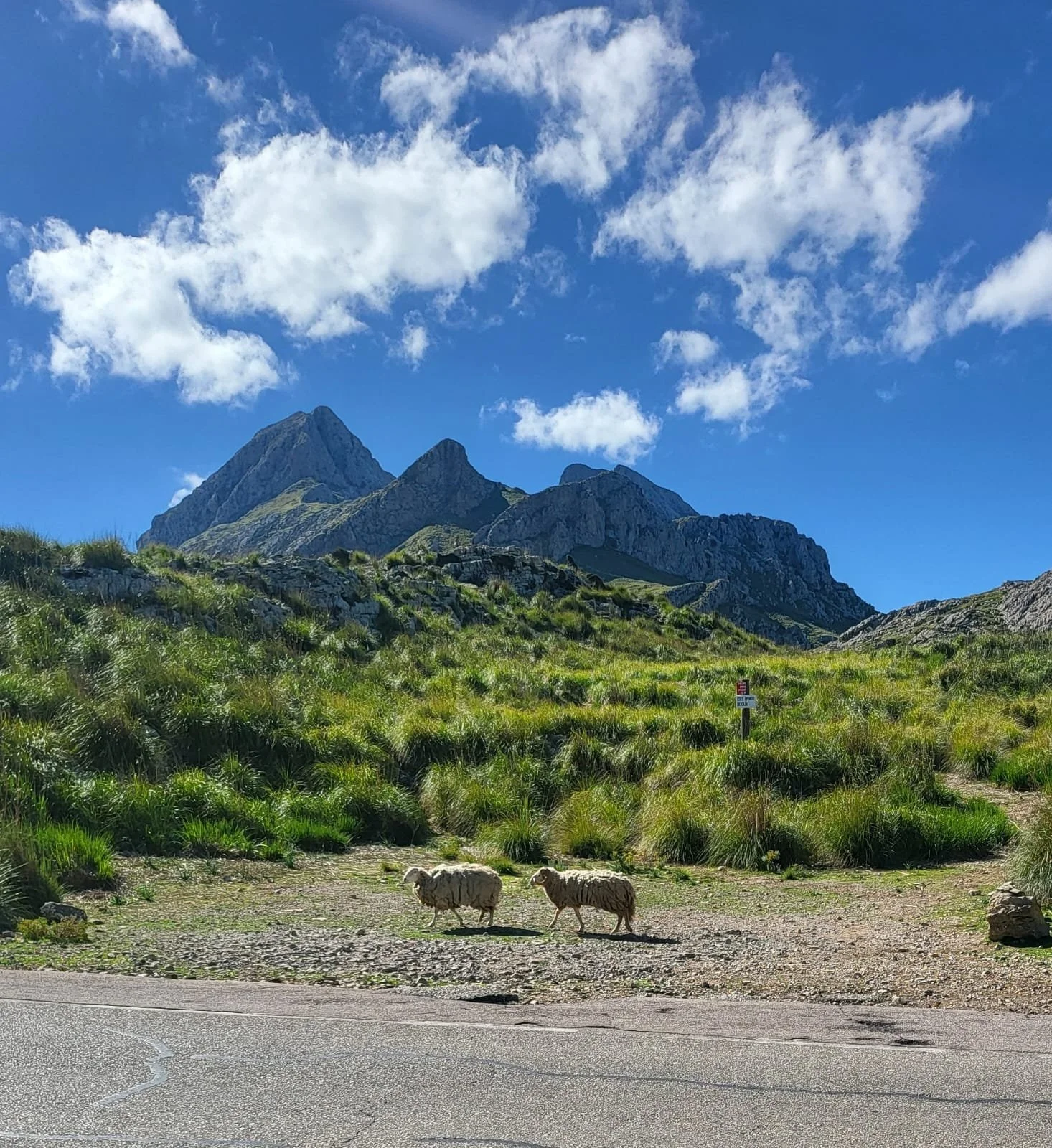 WhatsApp Image 2024-10-19 at 16.17.58_b81a2234.jpg