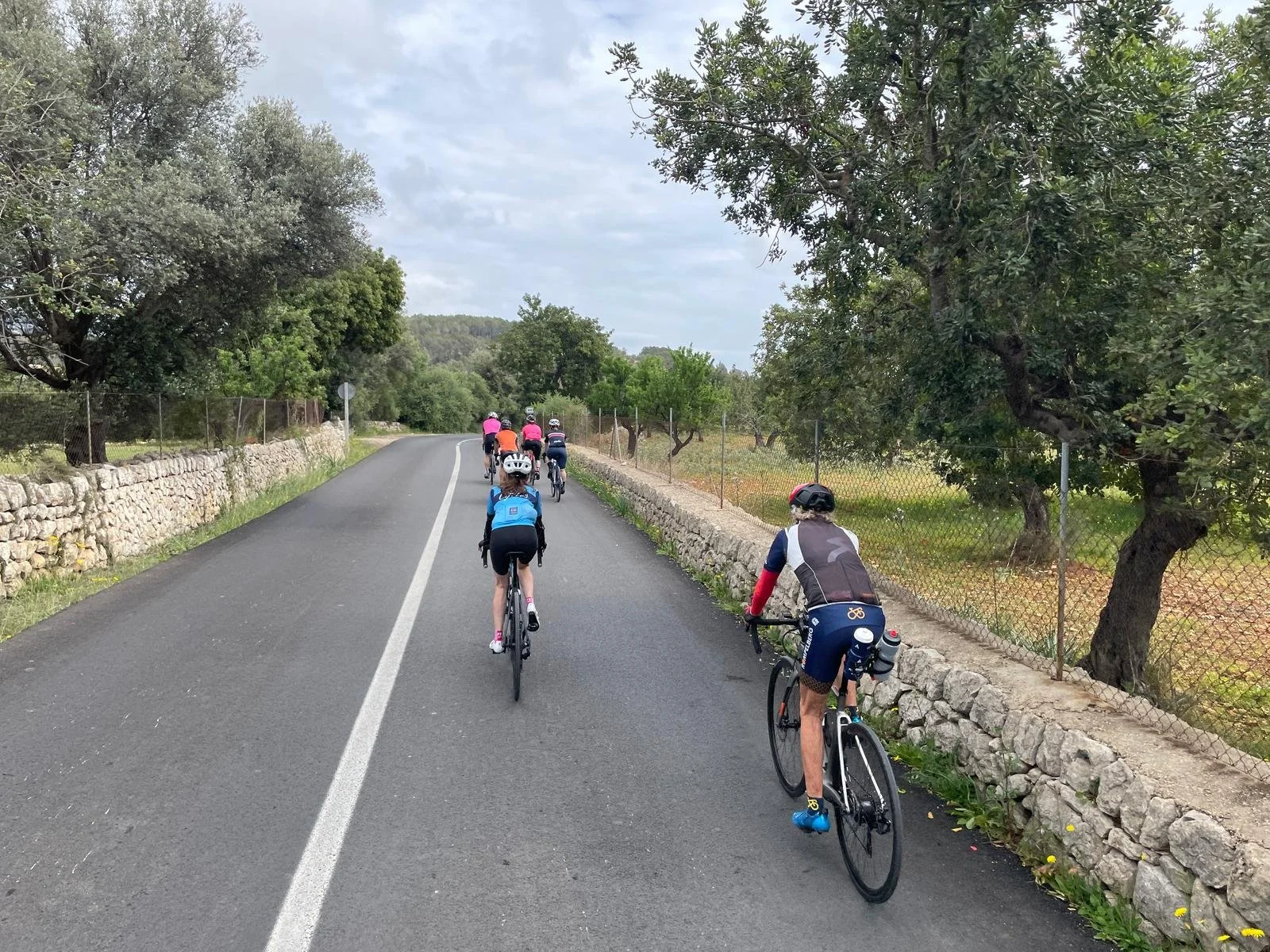 WhatsApp Image 2025-04-13 at 09.26.37_4dc70243.jpg