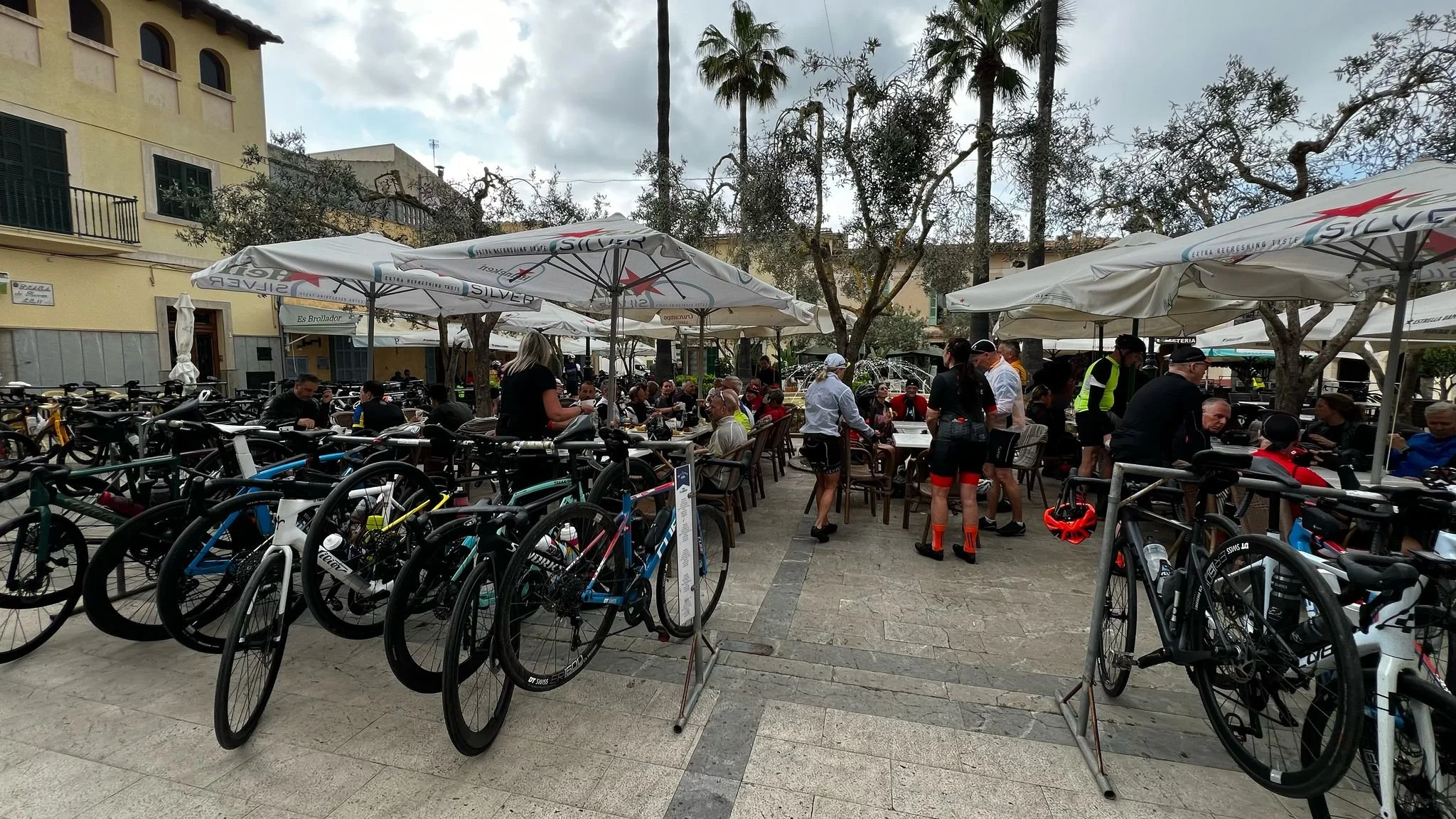 WhatsApp Image 2025-04-16 at 08.37.11_a681ac11.jpg