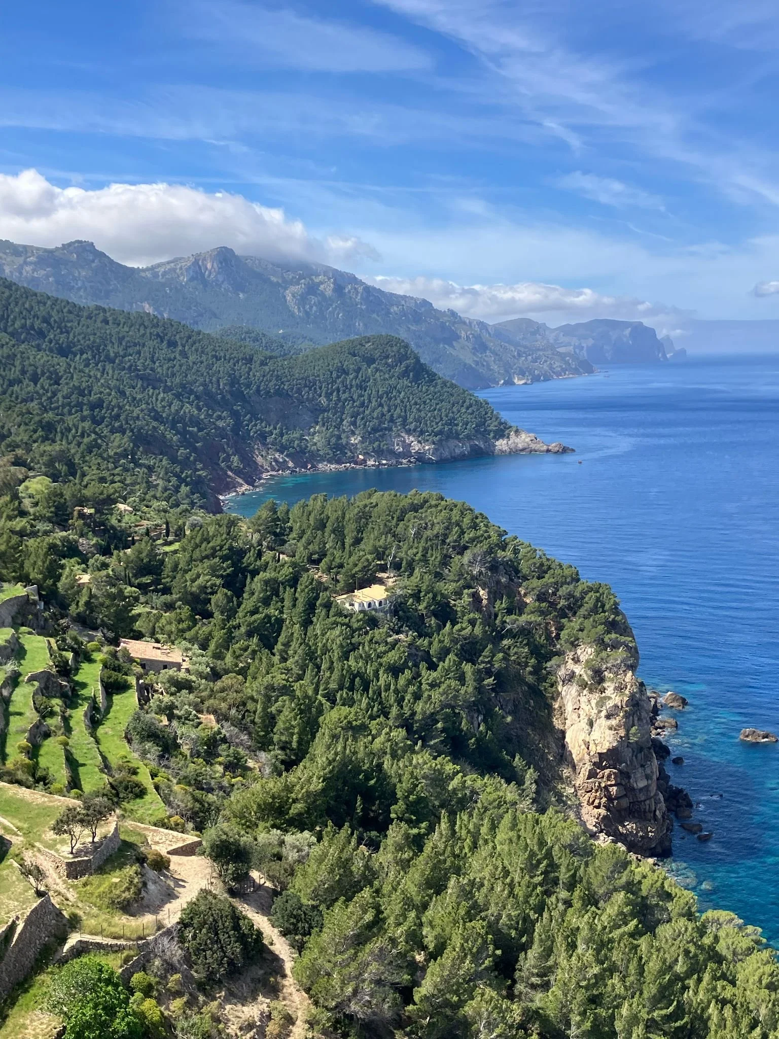 WhatsApp Image 2025-04-18 at 11.03.09_2b8eac03.jpg