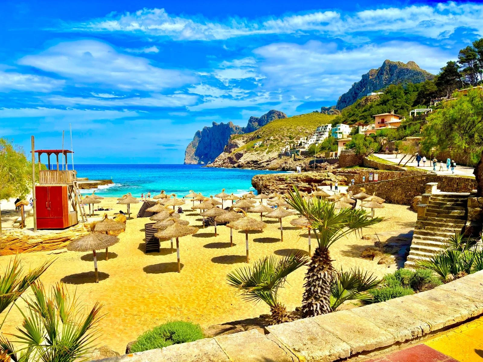 WhatsApp Image 2025-04-15 at 13.43.07_3b77ecf8.jpg