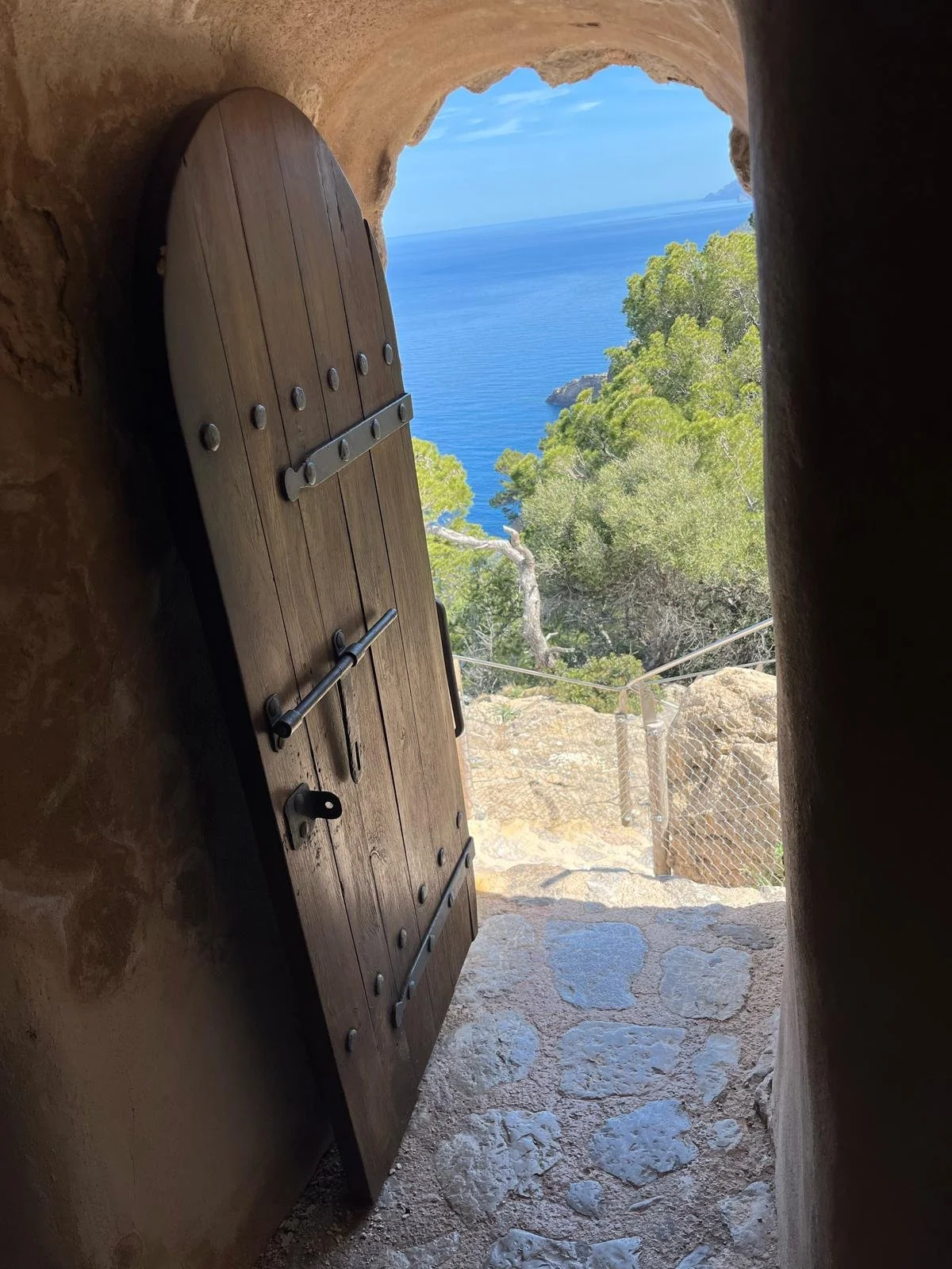 WhatsApp Image 2025-04-19 at 01.43.11_ba387772.jpg