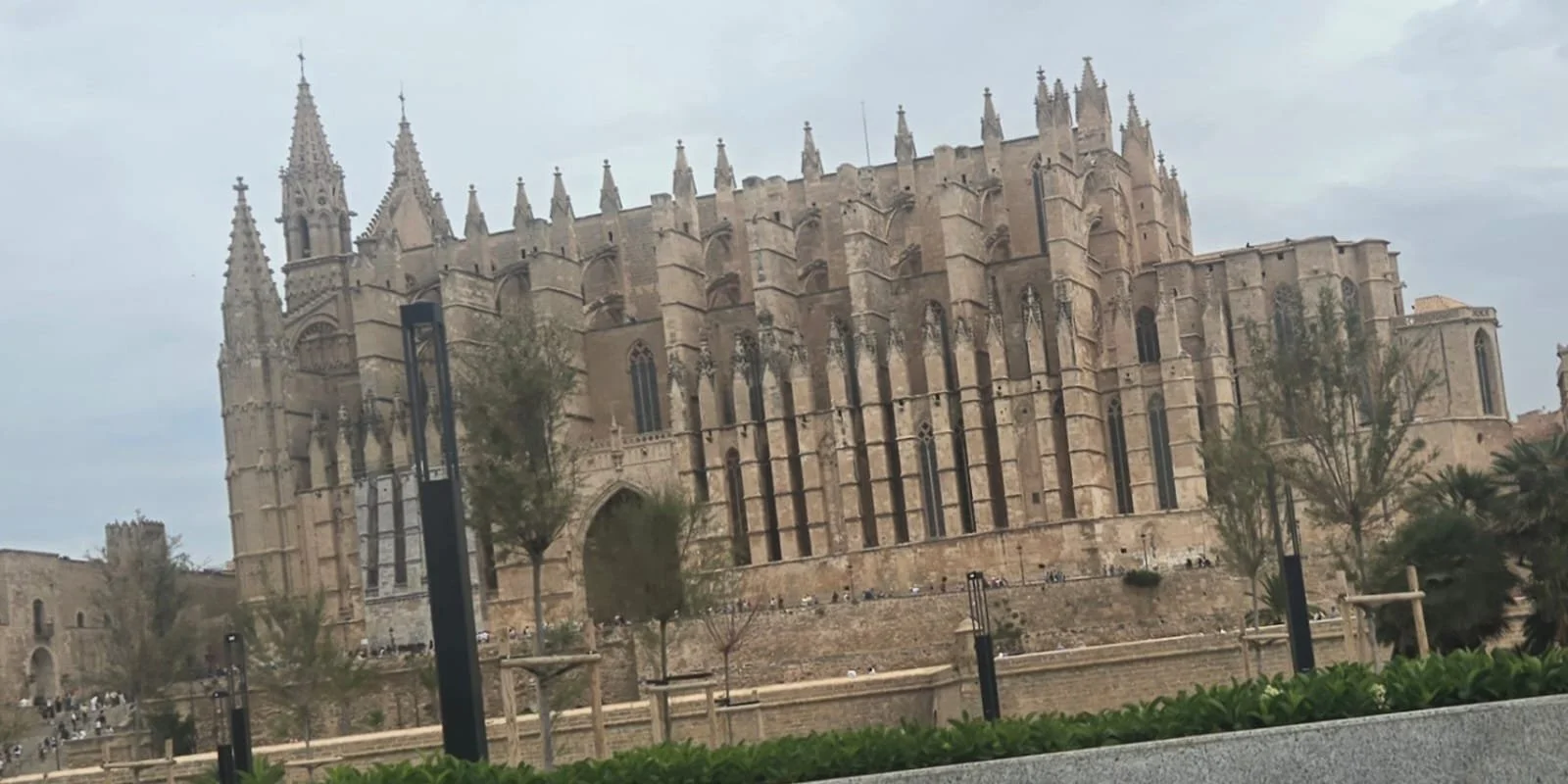 WhatsApp Image 2025-05-03 at 07.28.13_ed3983f5.jpg