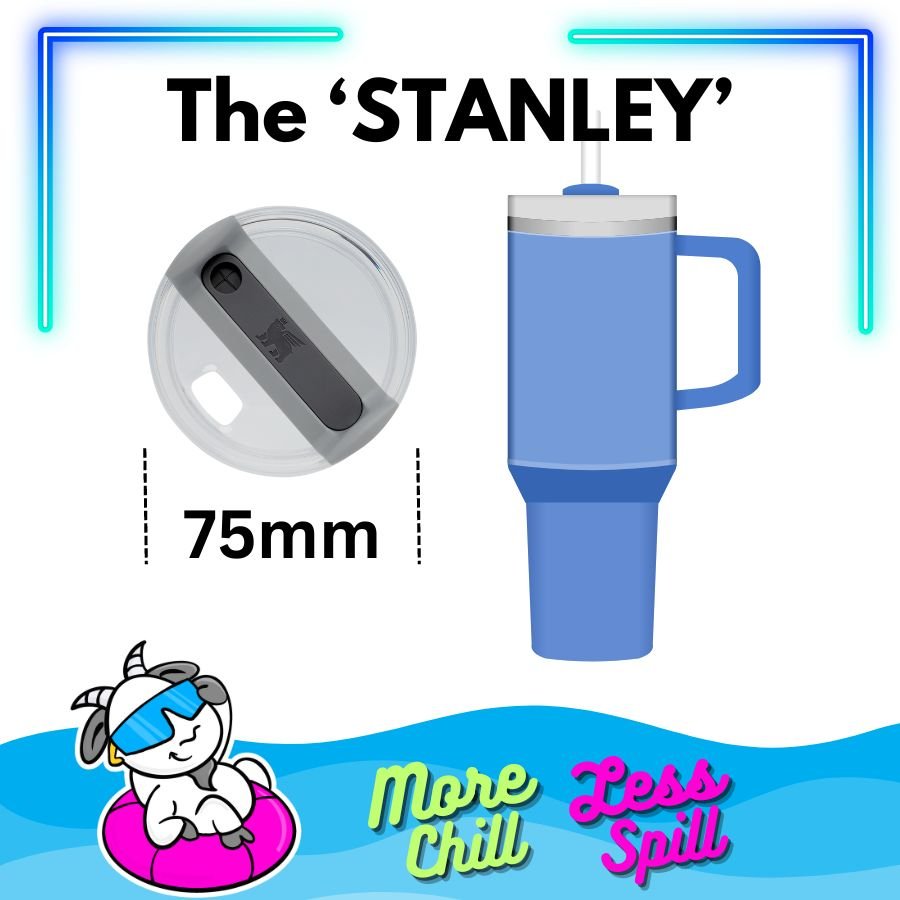 Stanley Sizing.jpg