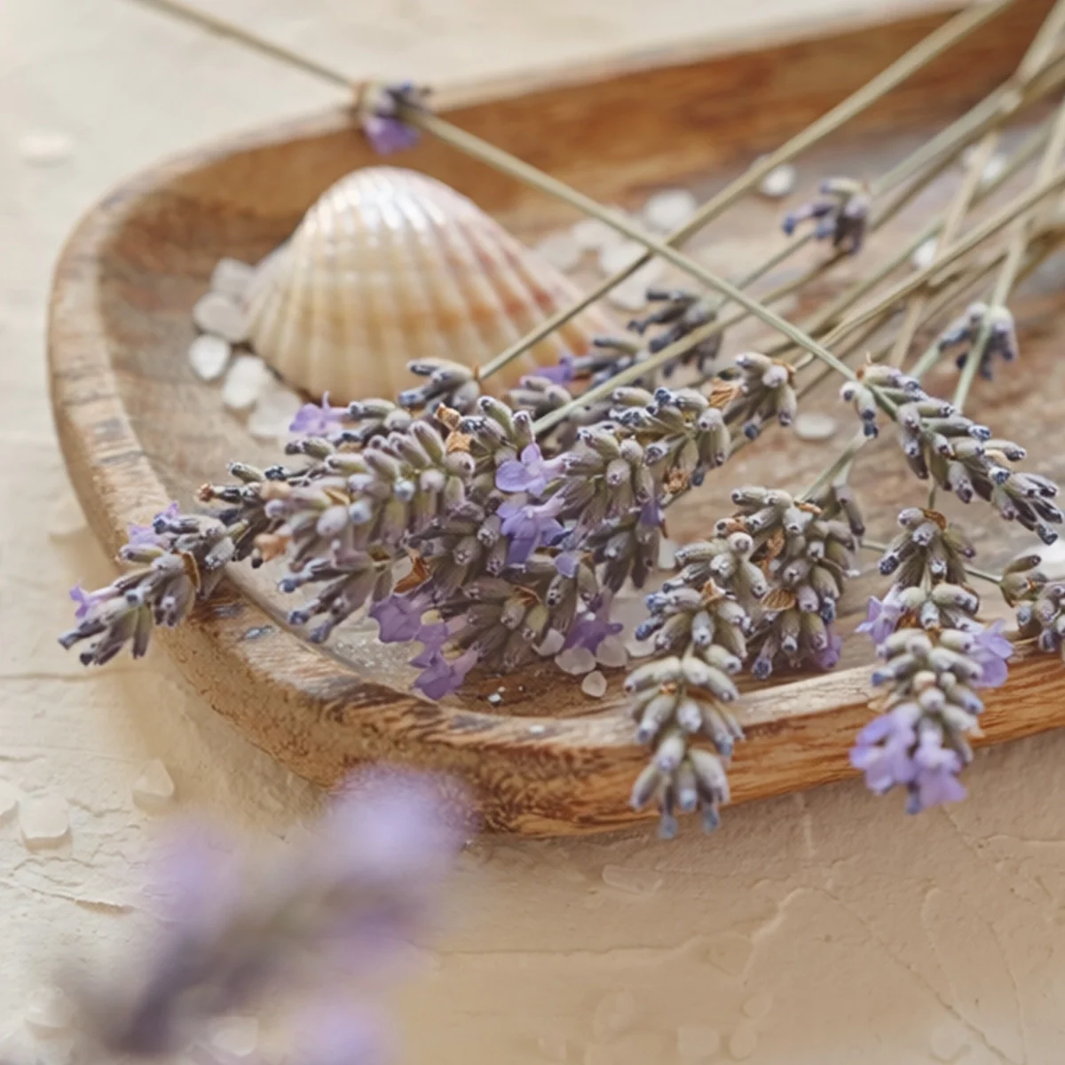 Salted Lavender Scentsy Wax Bar
