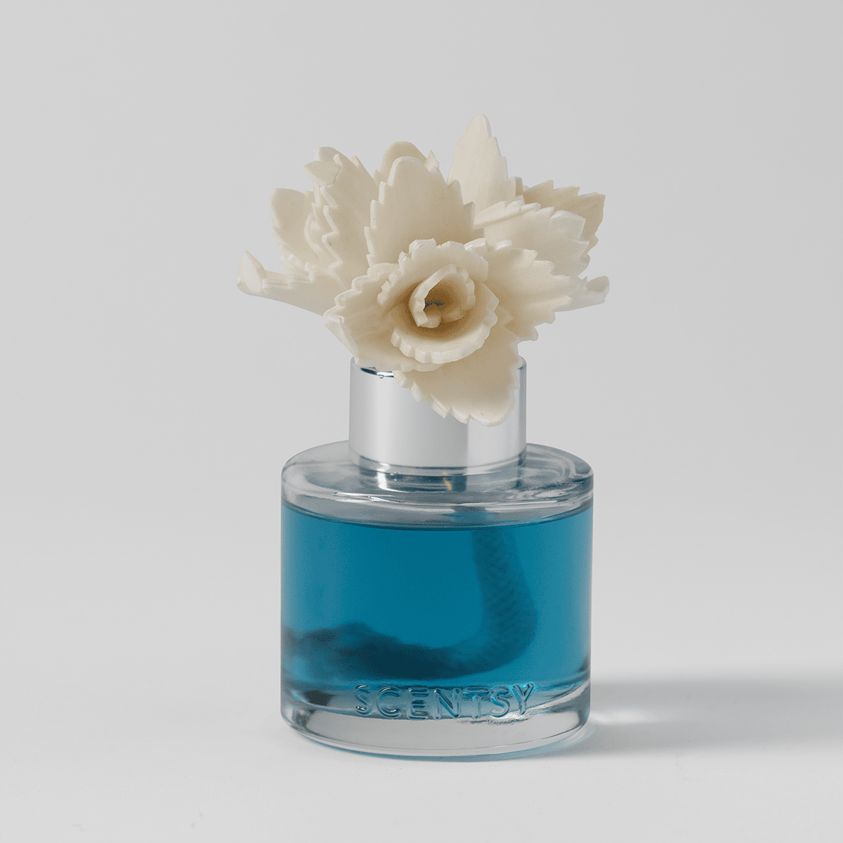 Serene Succulent Scentsy Elegant Echeveria Fragrance Flower in white displayed against a neutral grey background