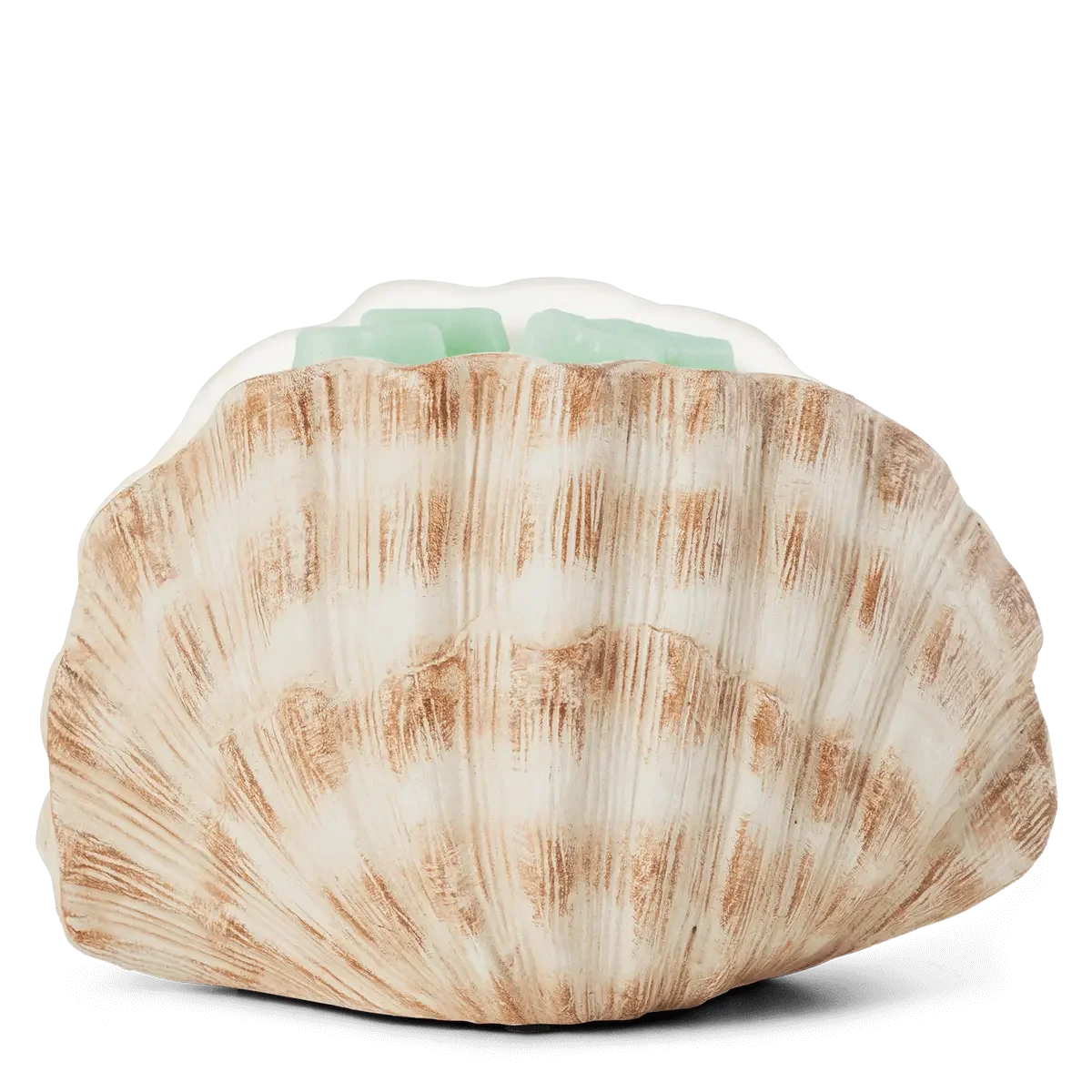 Seashell Scentsy Warmer