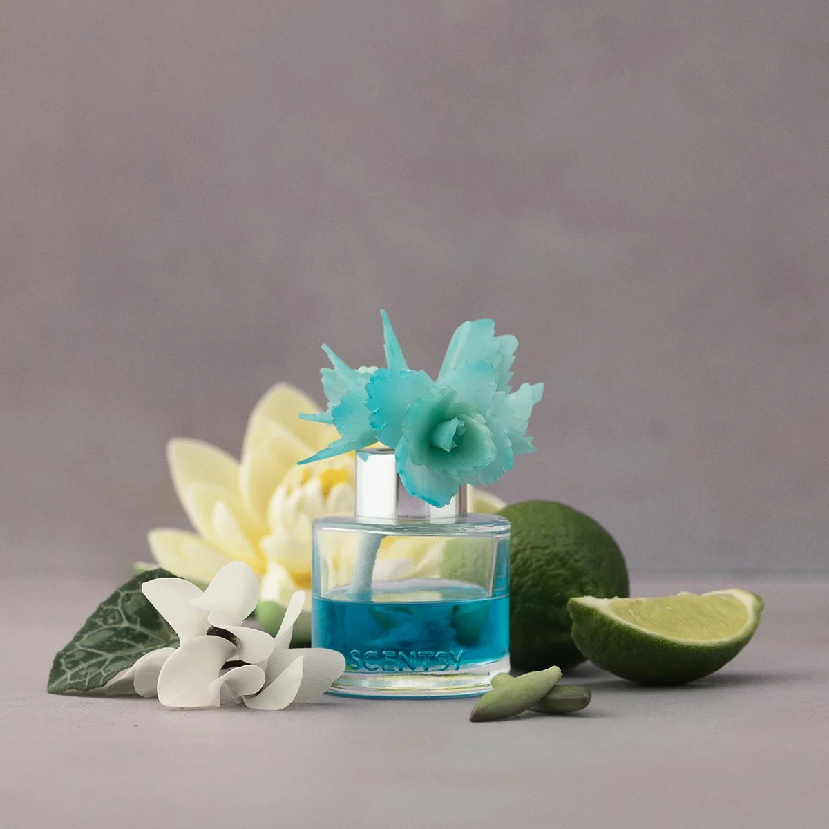 Serene Succulent Scentsy Elegant Echeveria Fragrance Flower styled with succulent greens and bergamot accents on a soft decorative background