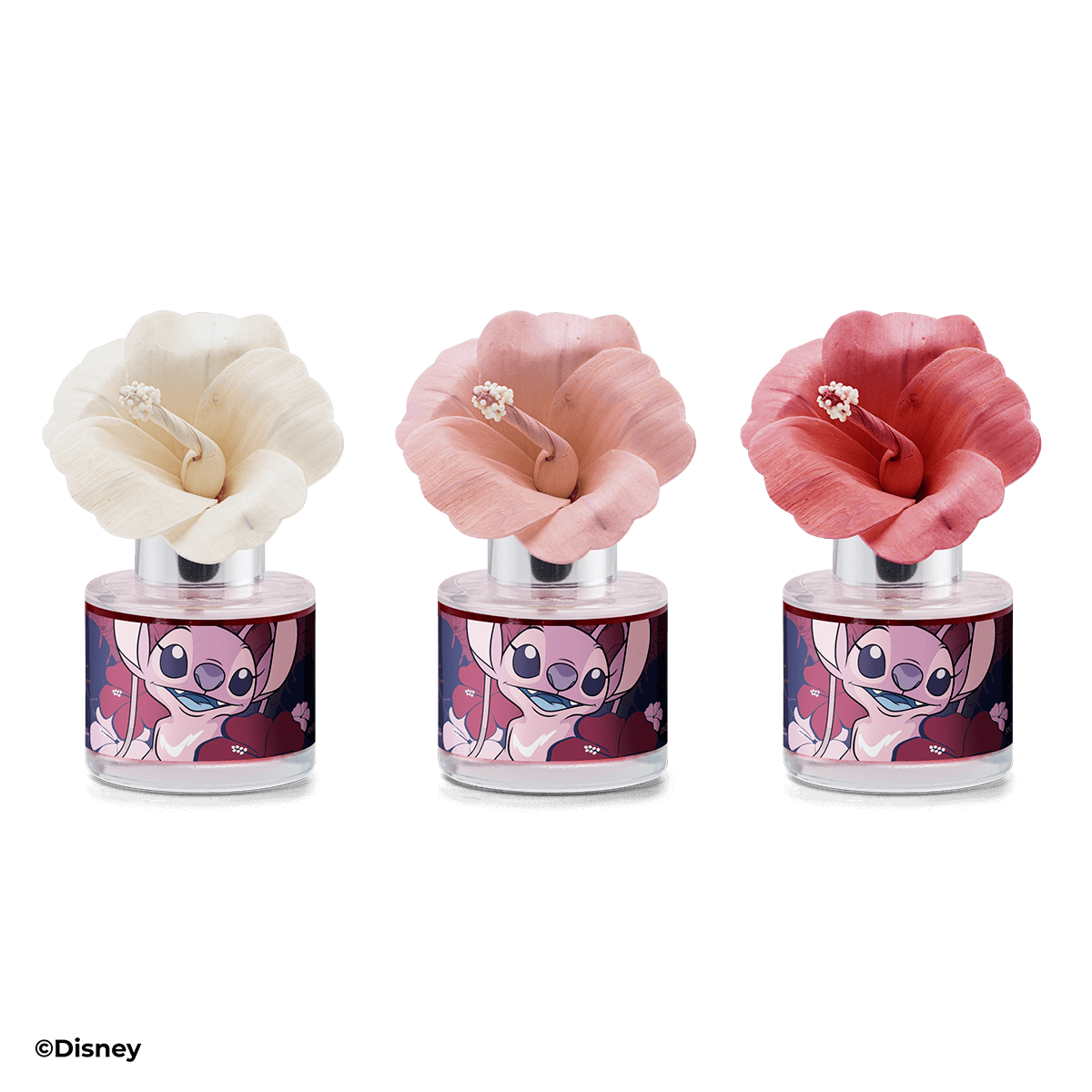 Angel Experiment 624 Hibiscus Scentsy Fragrance Flower showing colour progression as fragrance oil absorbs from white to light pink to full pink bloom