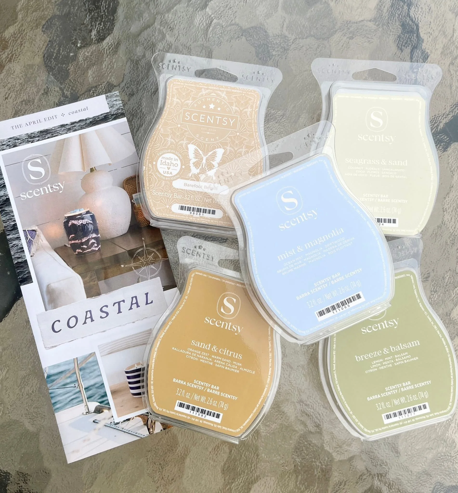 scentsy coastal fragrance collection 5 pack styled