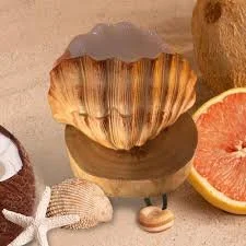 Seashell Scentsy Warmer close-up showing hand-painted shell details