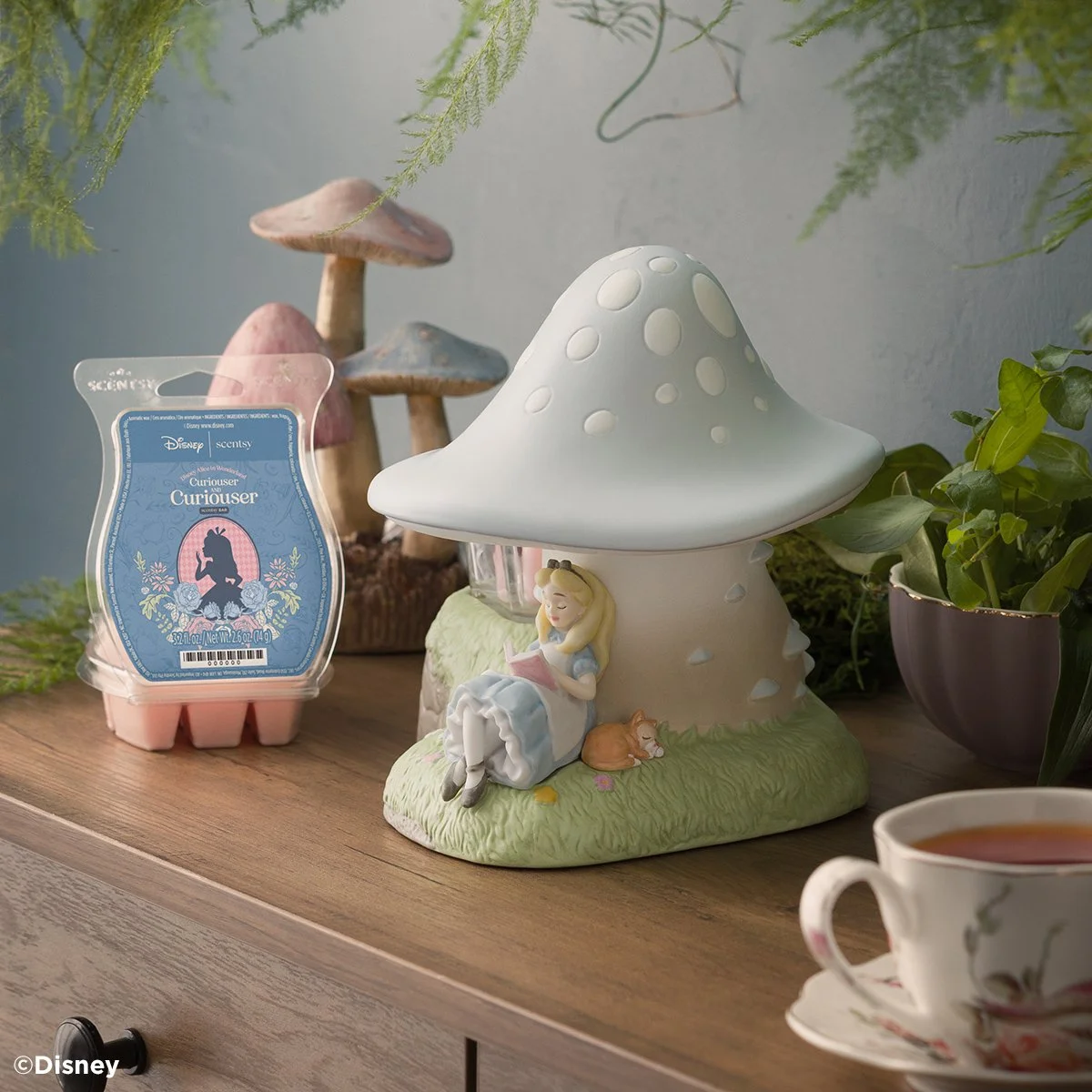 Alice in wonderland collection wax and warmer