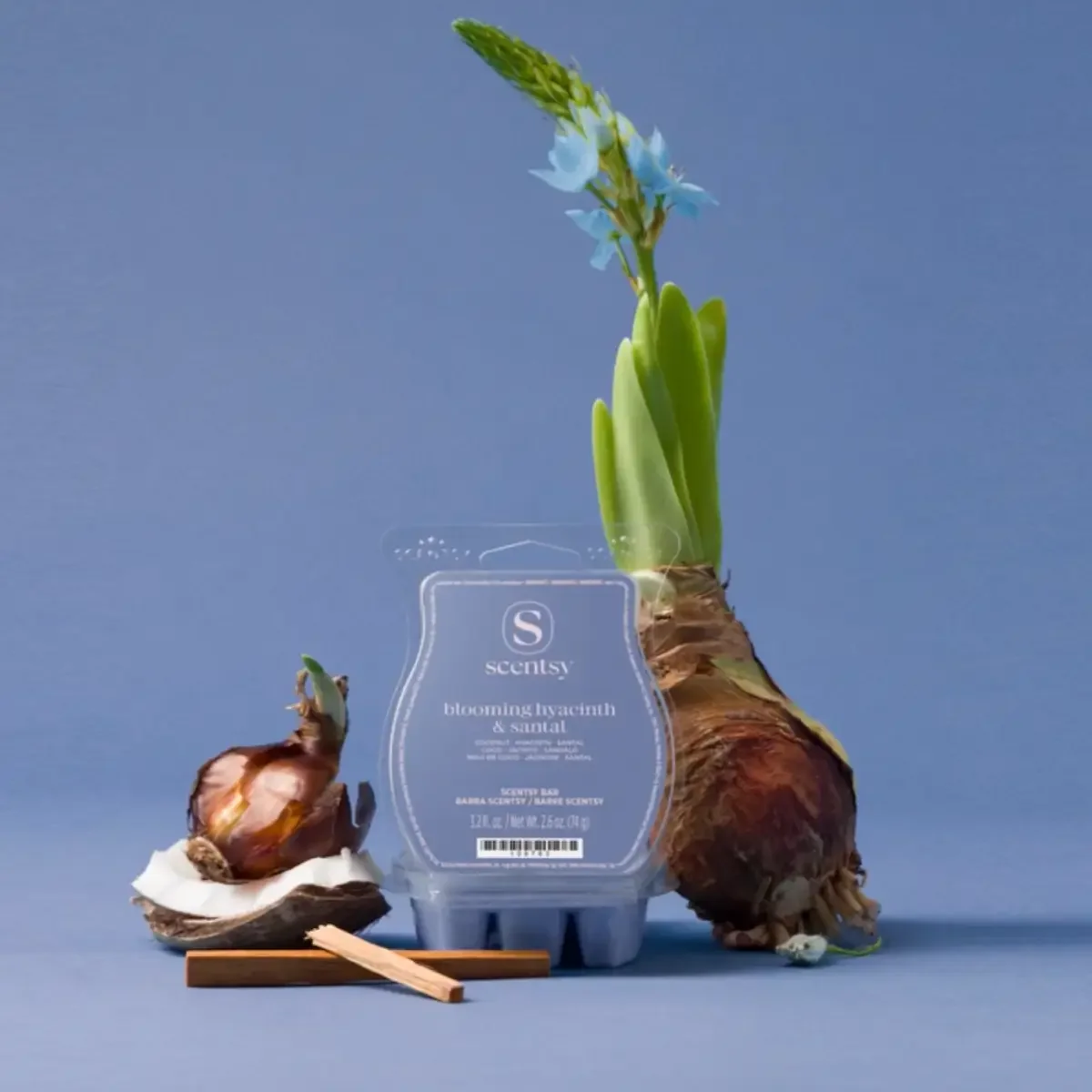 Blooming Hyacinth & Santal Scentsy Wax Bar from the Bloomie Collection