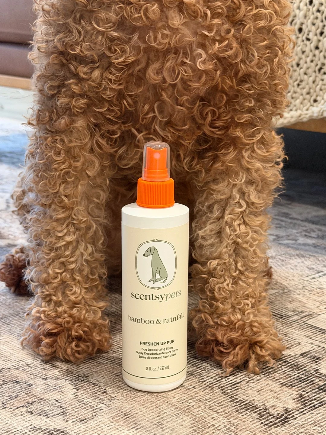 A curly-coated dog standing on a rug with Scentsy Pets Freshen Up Pup deodorizing spray in Bamboo & Rainfall displayed in front.
