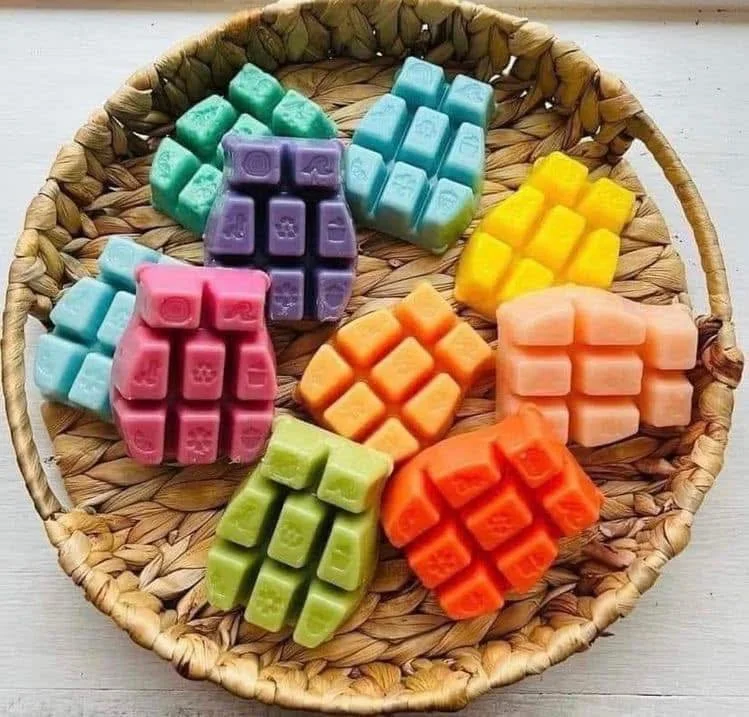 Scentsy wax bars in Canada showcasing colourful wax melts for home fragrance