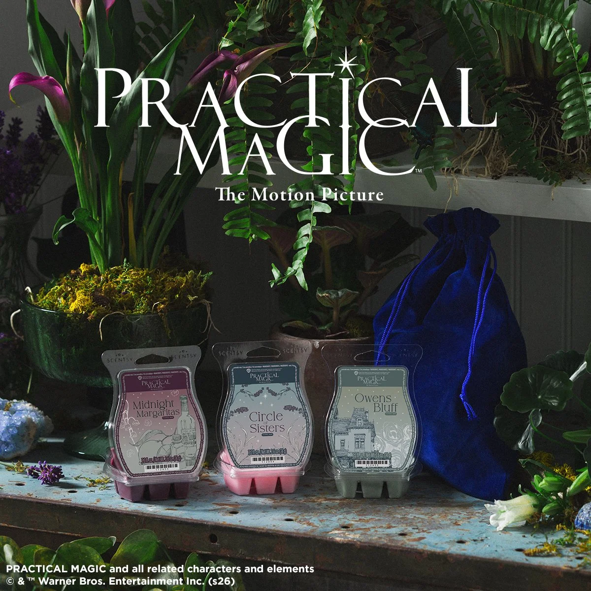 Practical Magic Scentsy Wax Collection with Midnight Margaritas, Circle of Sisters and Owens Bluff Scentsy Bars and velvet bag