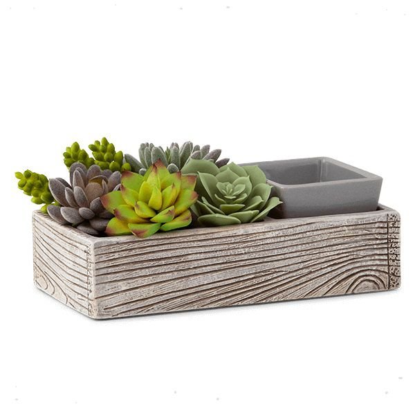 Suc-cute-lent Scentsy Warmer