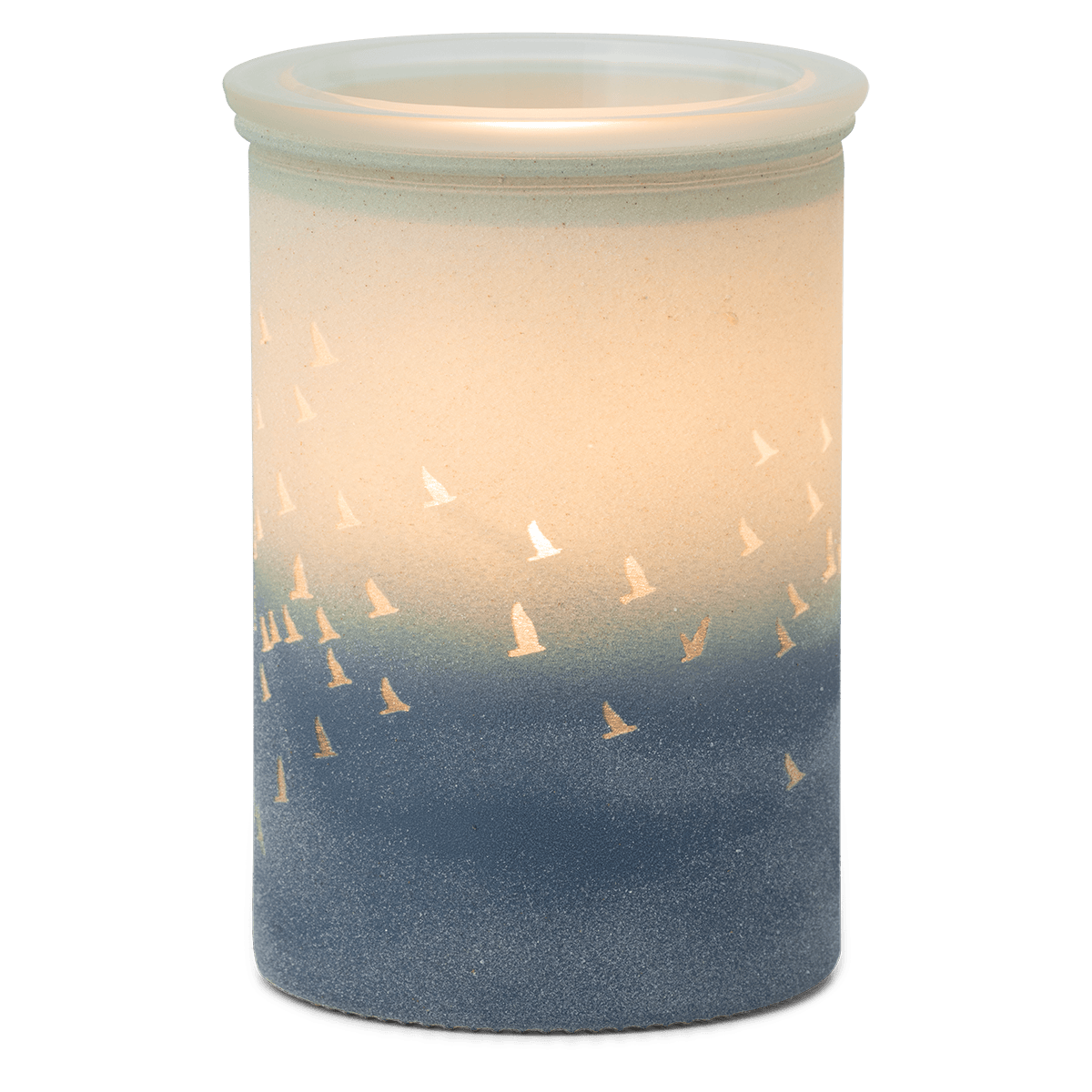 Waves & Wings Scentsy Warmer