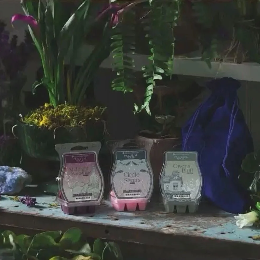 scentsy practical magic scentsy wax collection