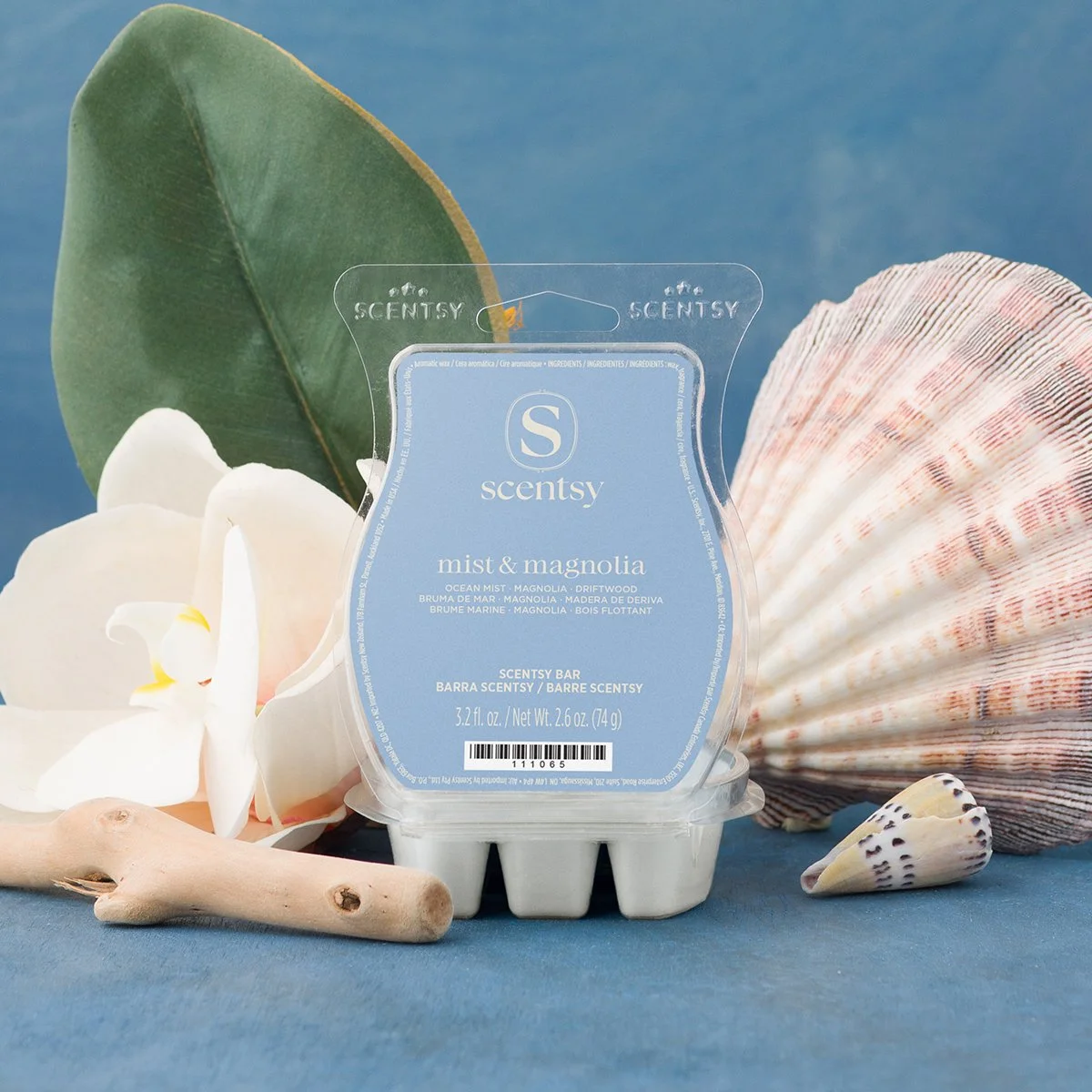 Scentsy Mist and Magnolia wax bar with seashells and magnolia flower coastal setting