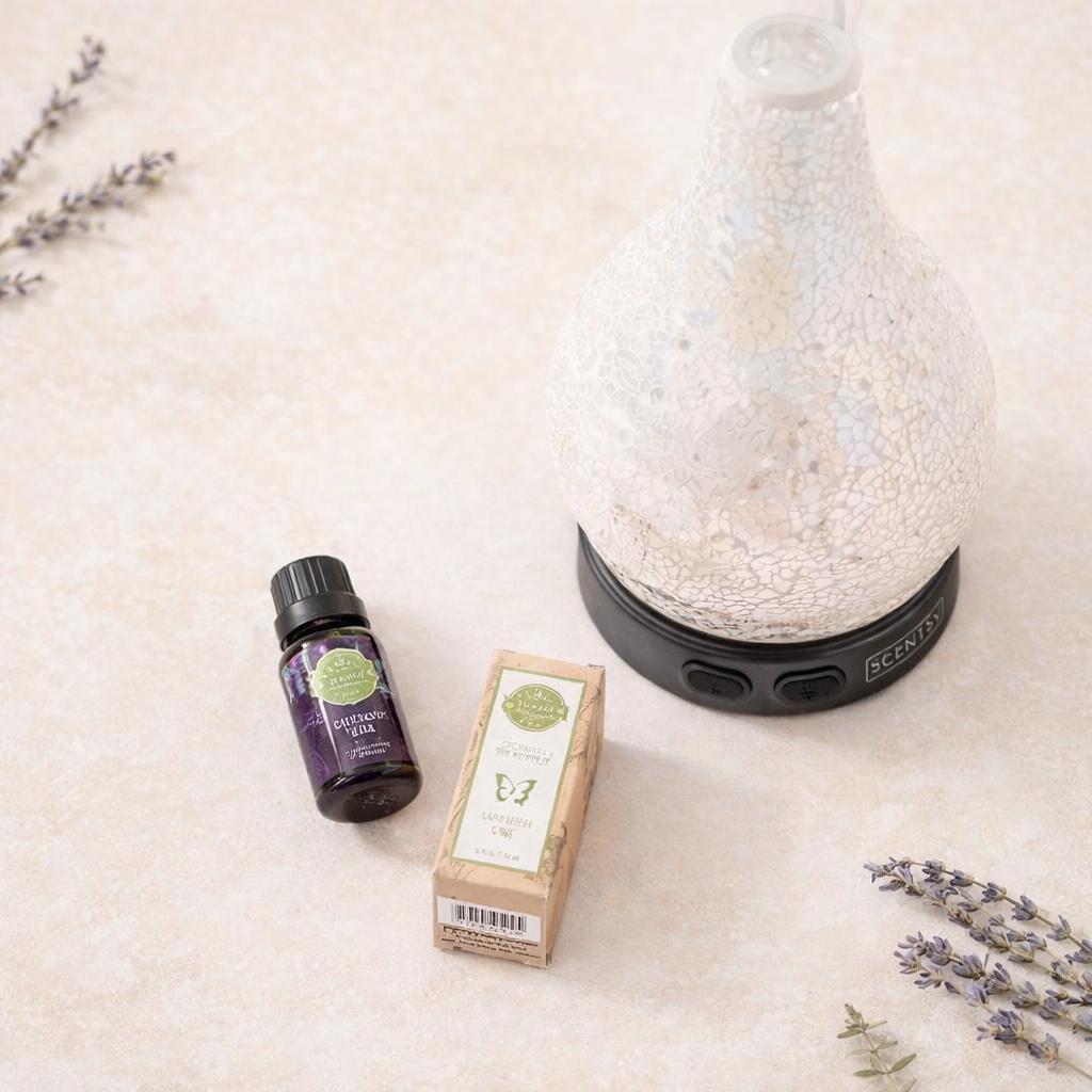 scentsy-essential-oil-diffuser-and-oils-boutique-canada.png