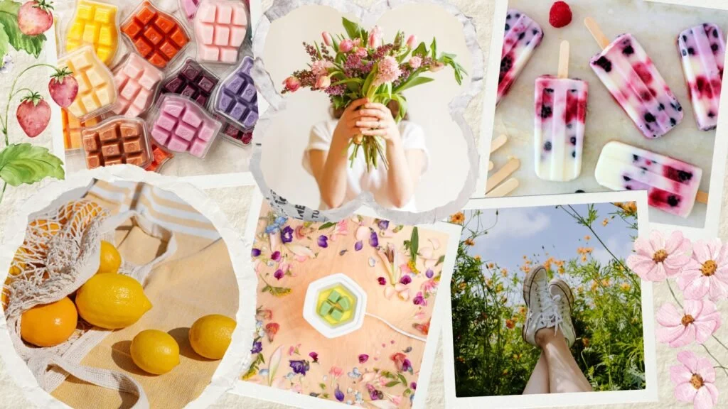 Boutique-style Scentsy warmers and home fragrance products styled in a warm, inviting space, offering personalized Scentsy support throughout Ontario